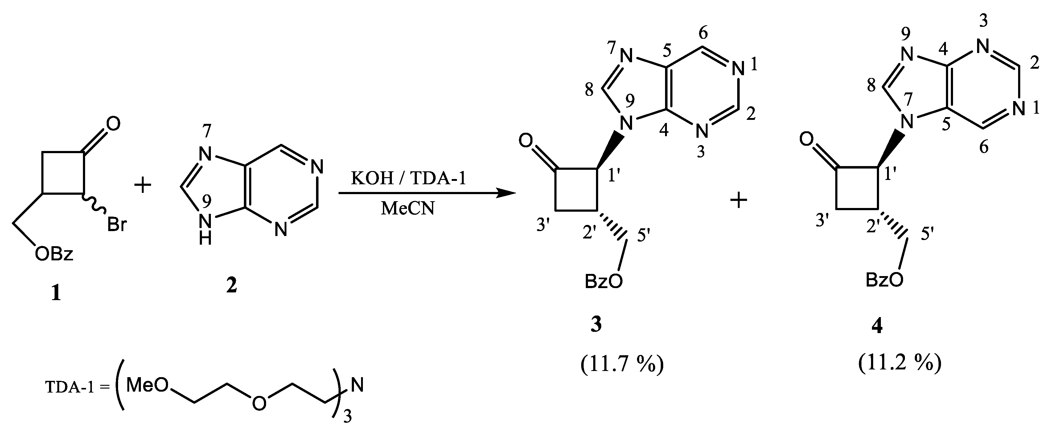 Molecules 24 03235 sch001