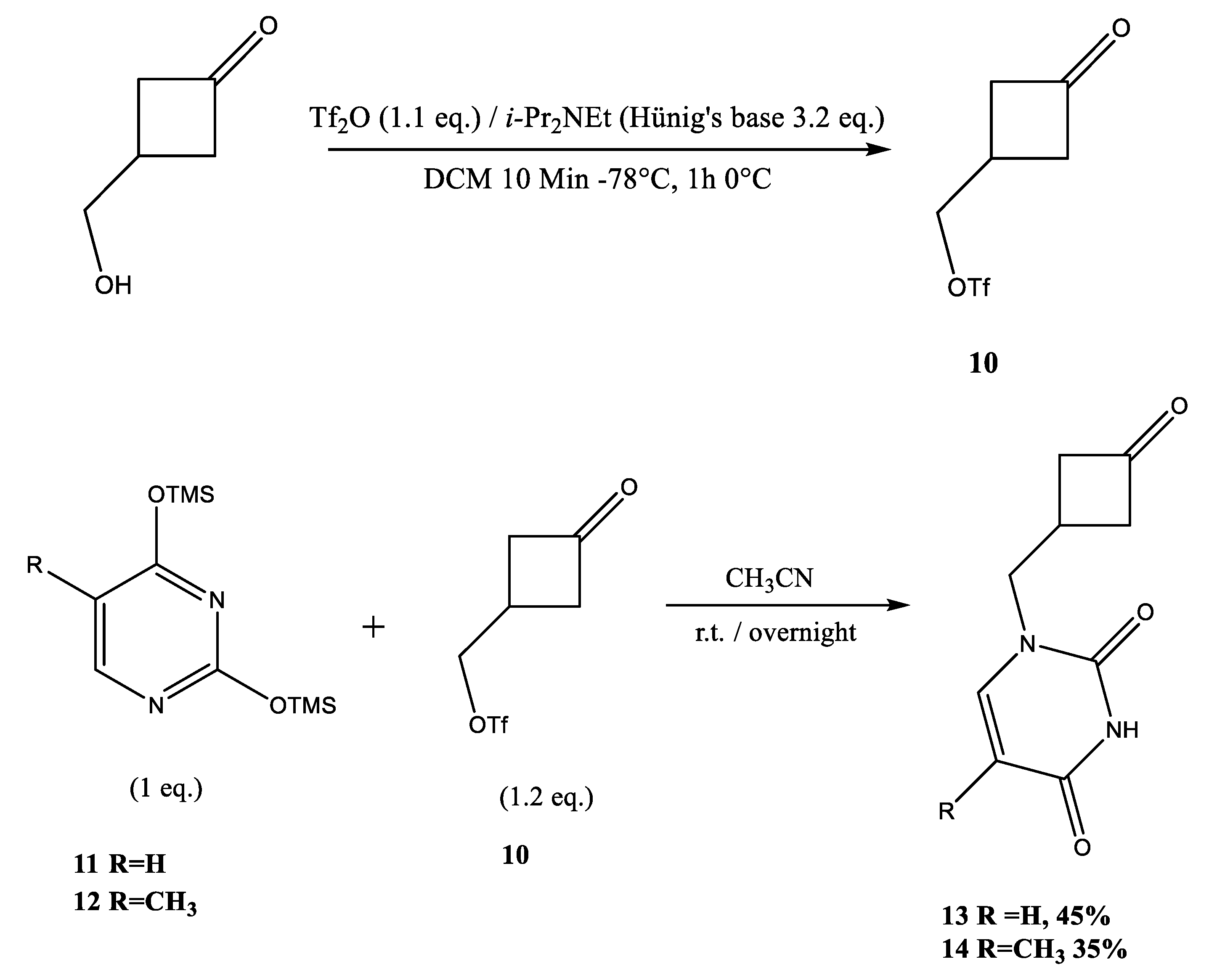 Molecules 24 03235 sch004