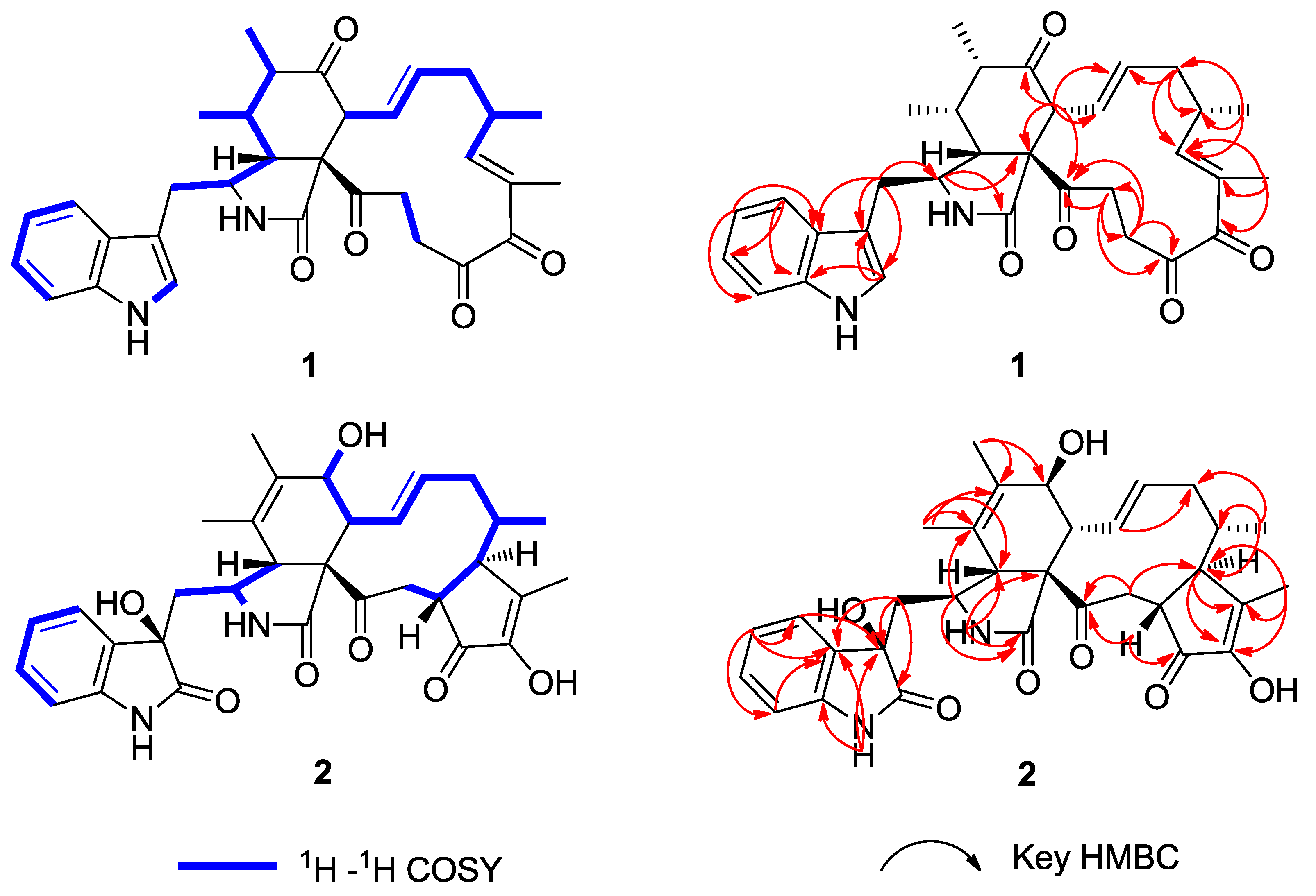 Molecules 24 03240 g002