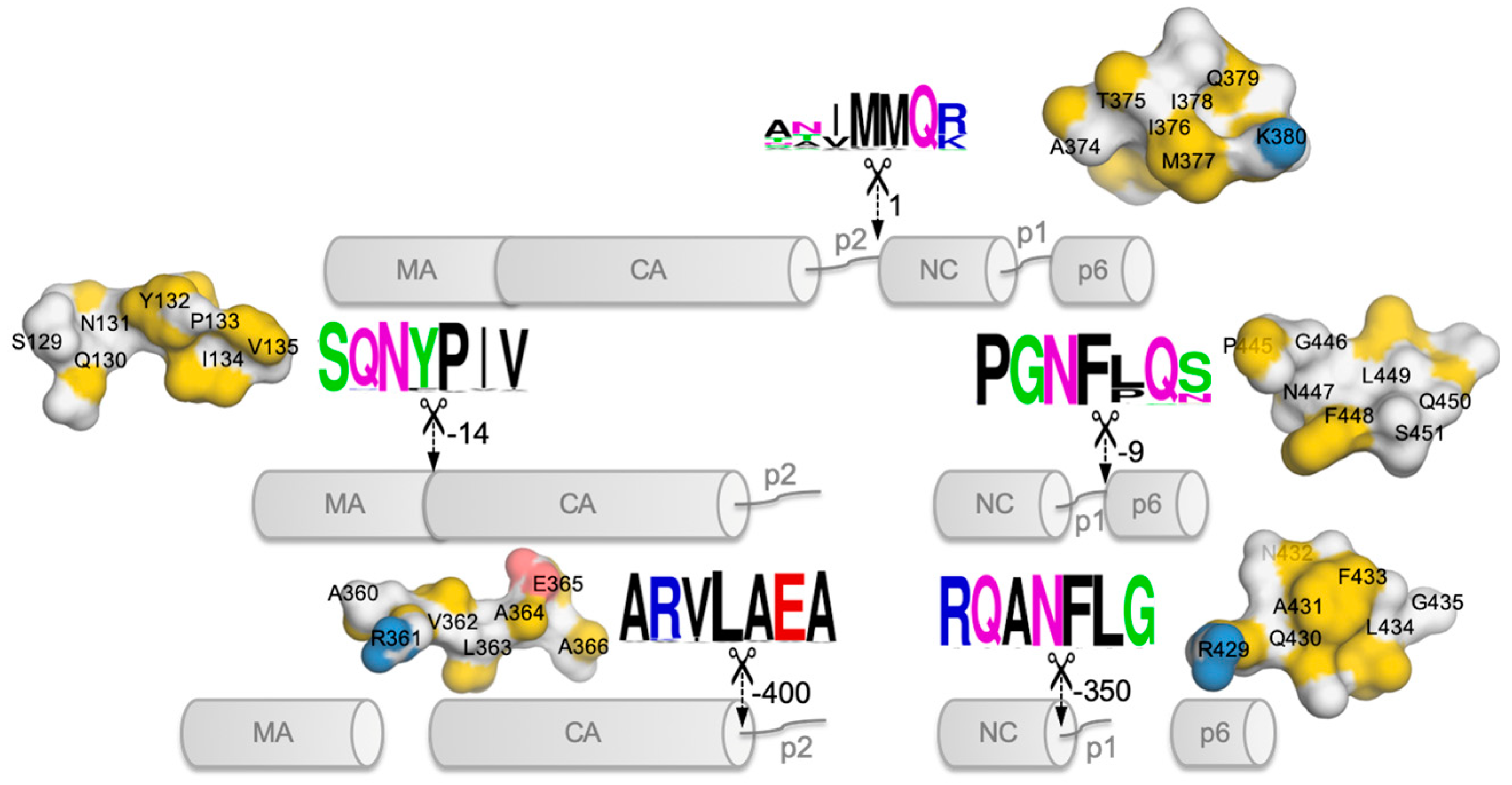 Molecules 24 03243 g002