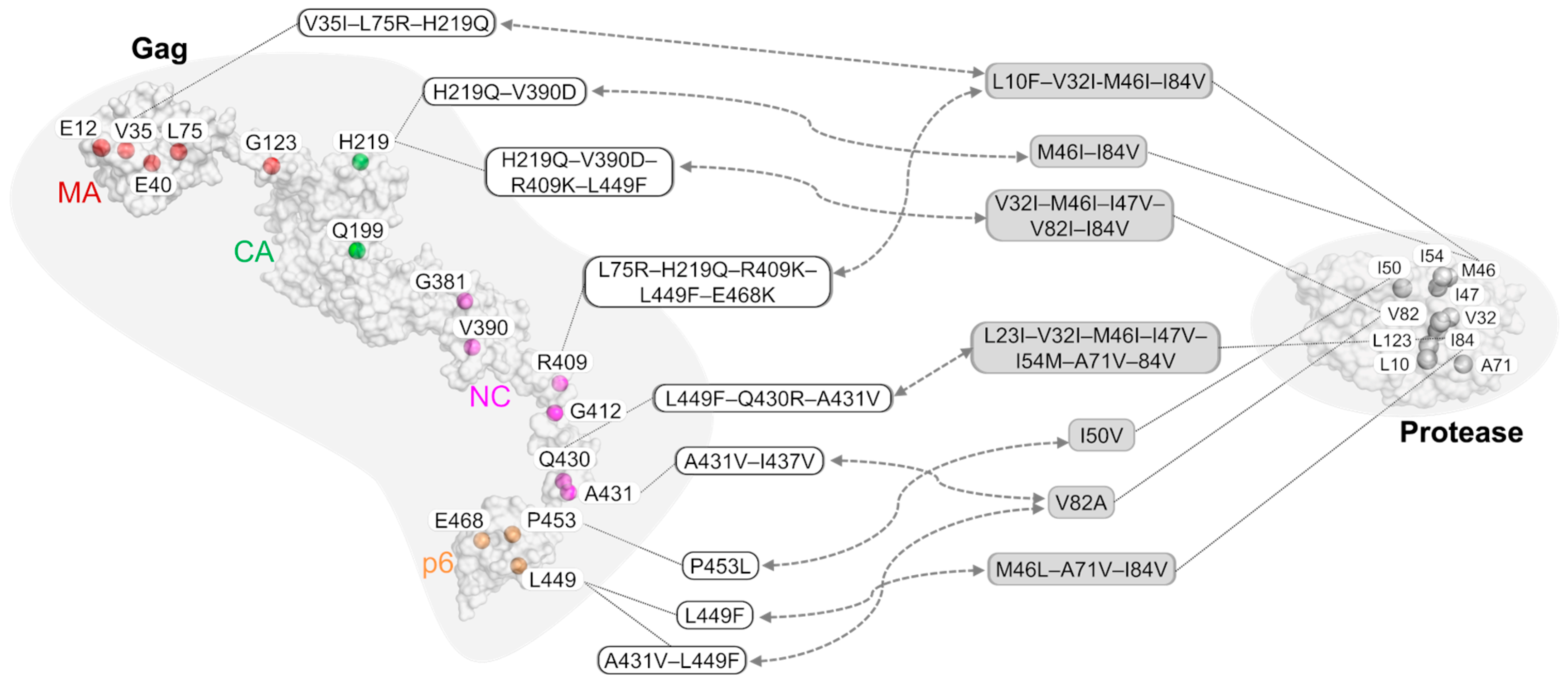 Molecules 24 03243 g003