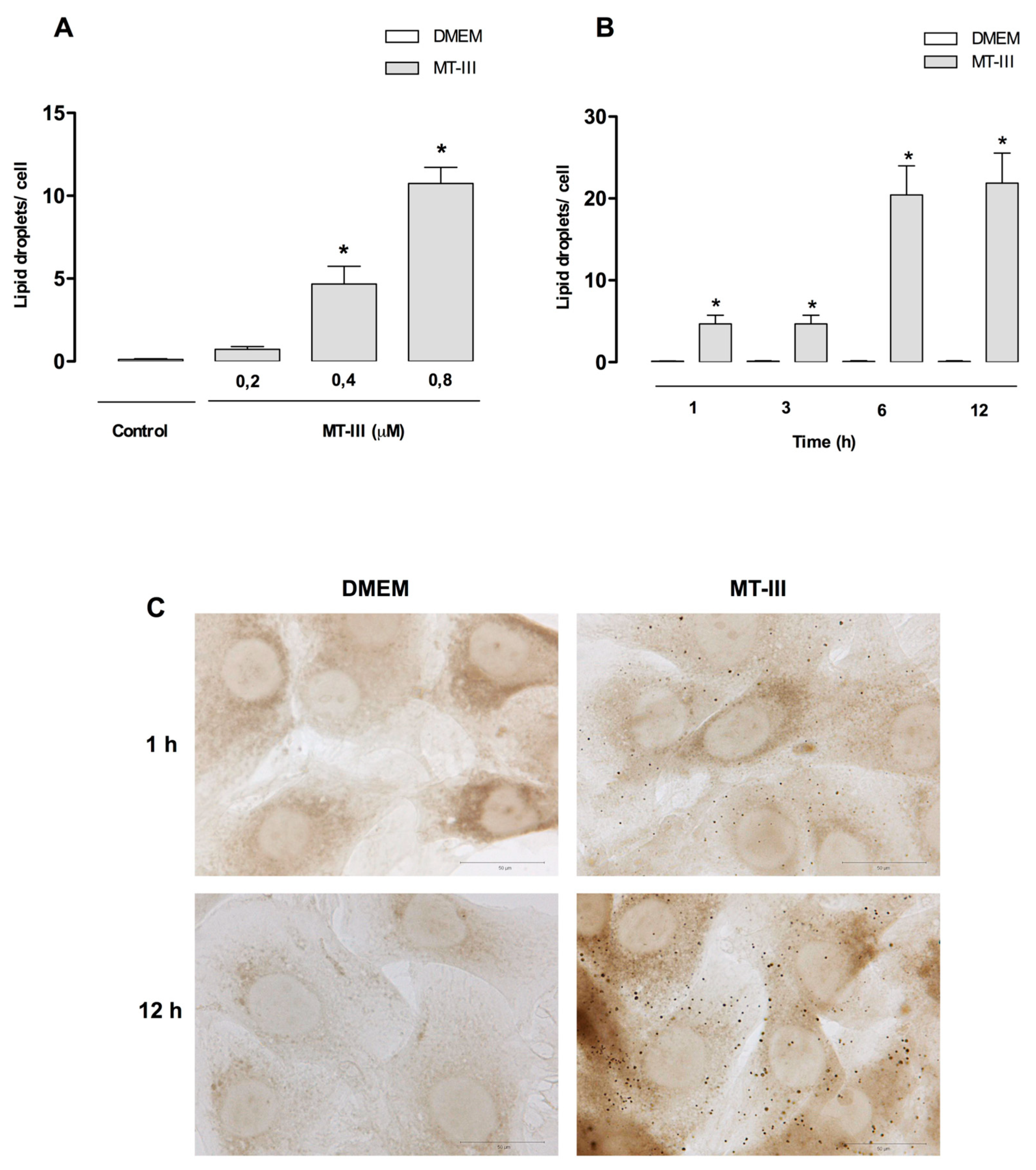 Molecules 24 03244 g001 Molecules 24 03244 g001