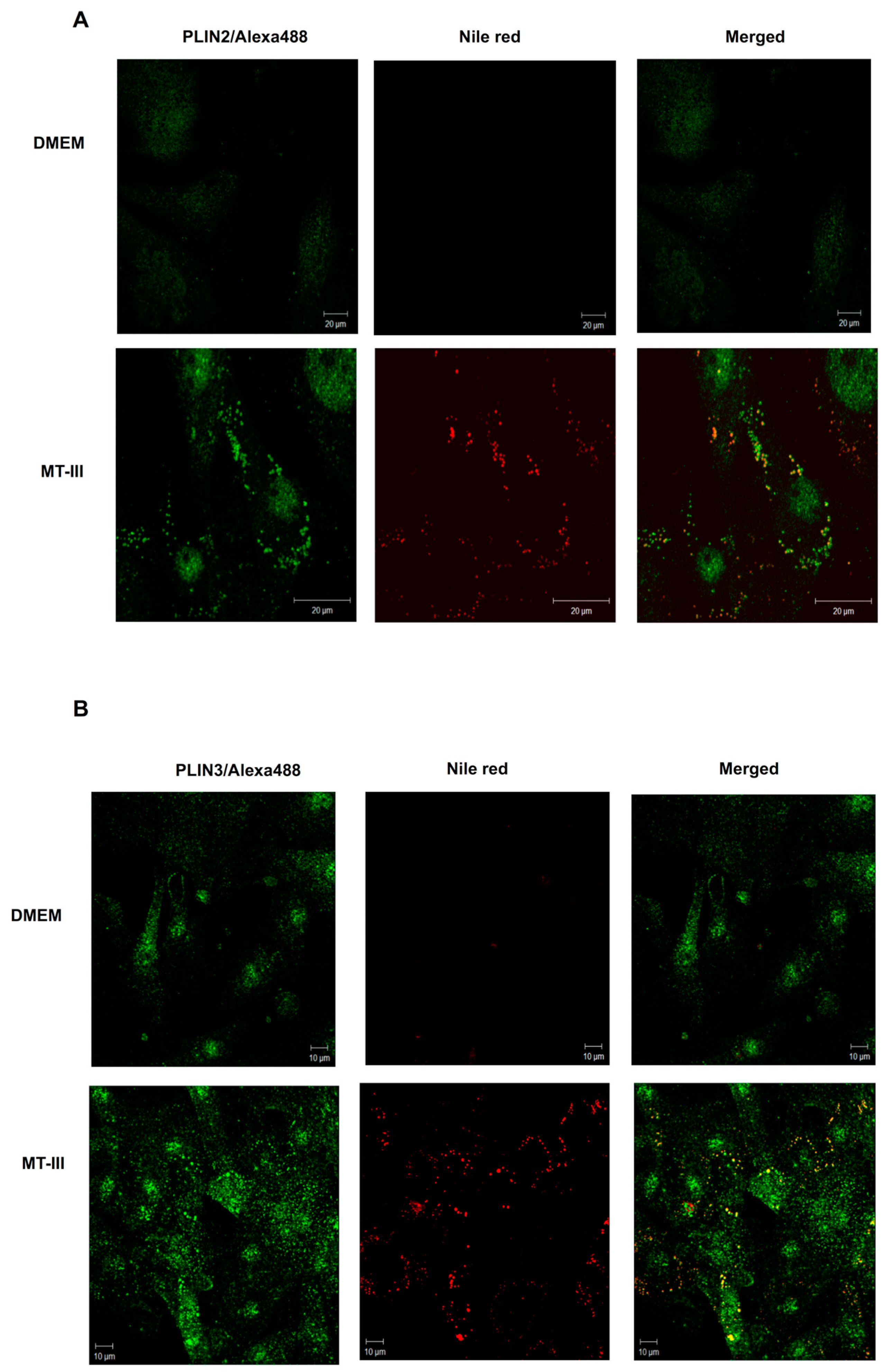 Molecules 24 03244 g002 Molecules 24 03244 g002