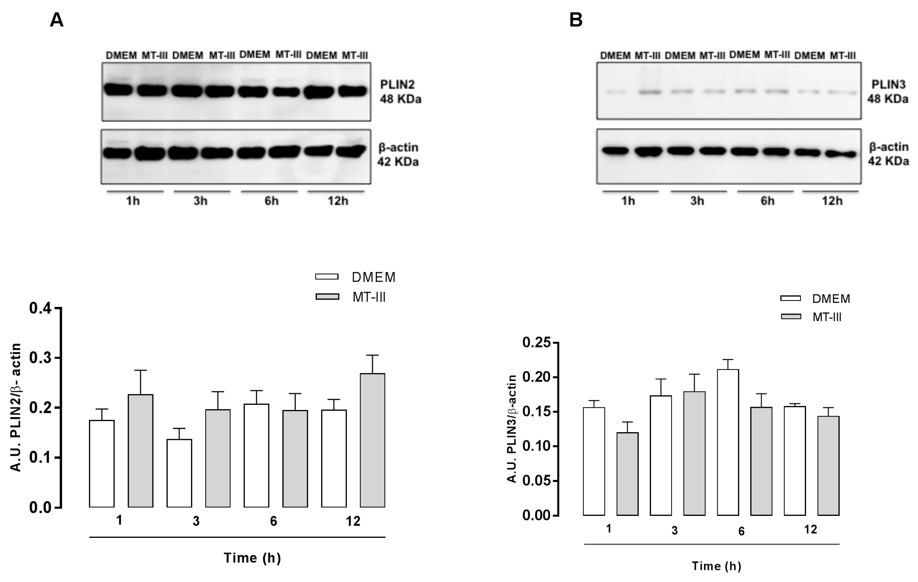 Molecules 24 03244 g003 Molecules 24 03244 g003