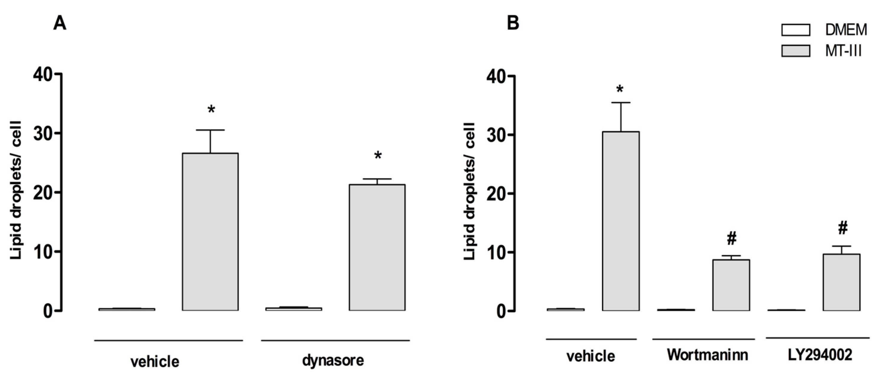 Molecules 24 03244 g009 Molecules 24 03244 g009