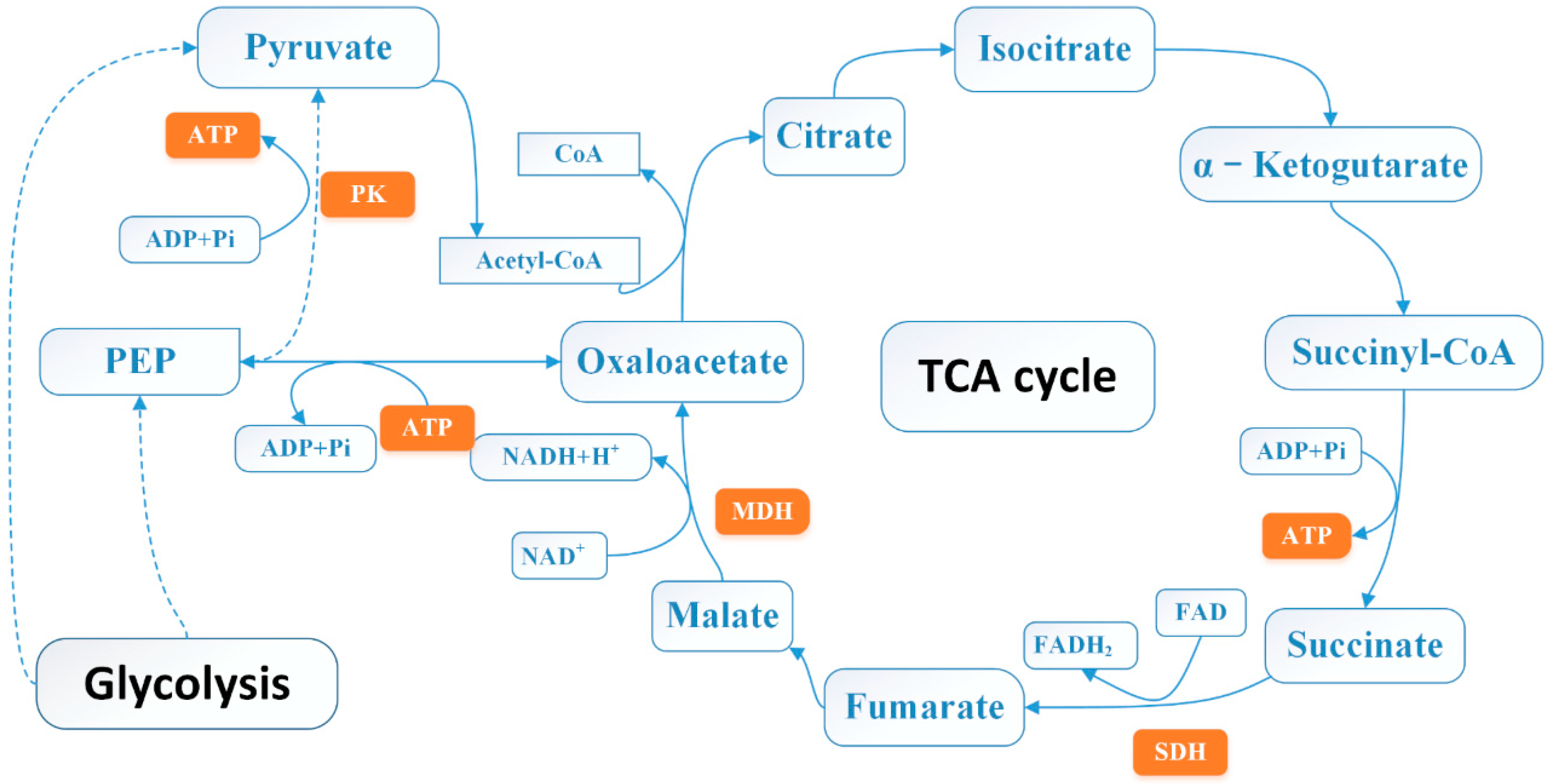 Molecules 24 03246 g010 Molecules 24 03246 g010
