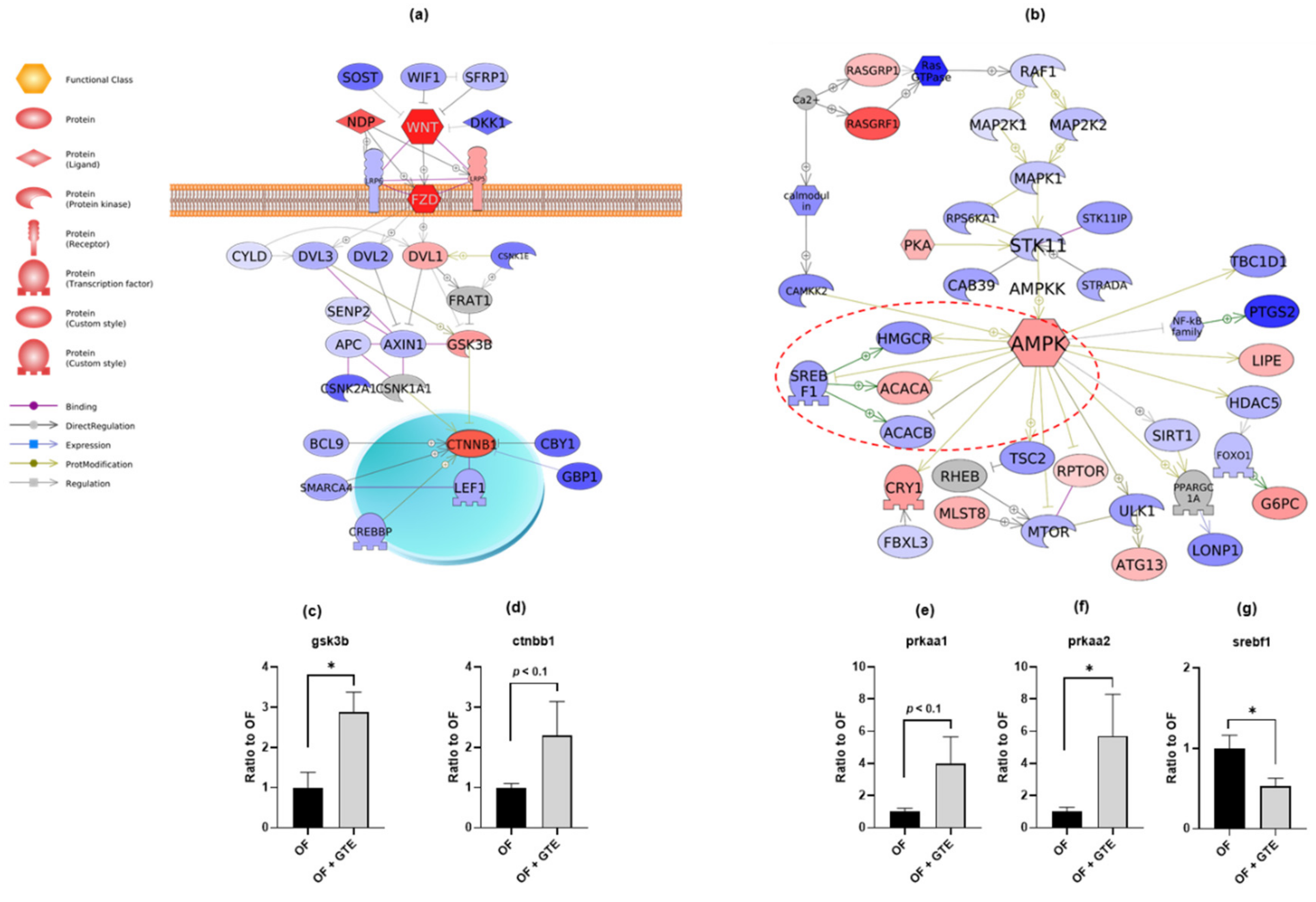 Molecules 24 03256 g003 Molecules 24 03256 g003