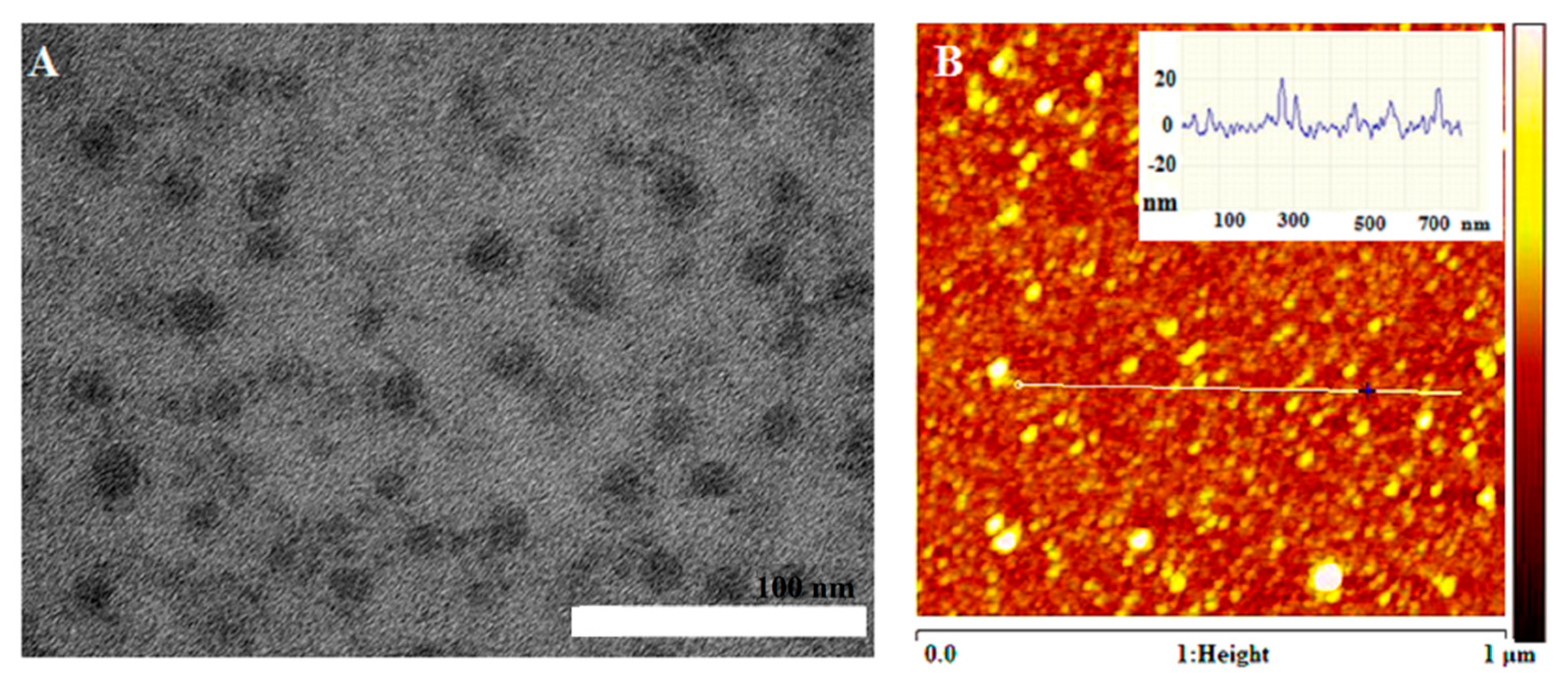 Molecules 24 03257 g001