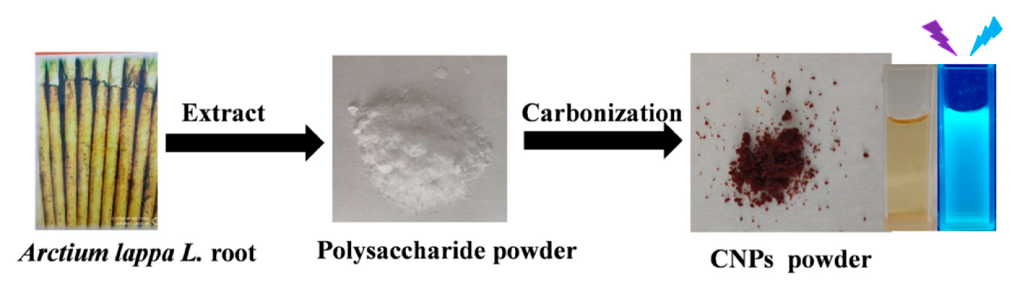 Molecules 24 03257 sch001