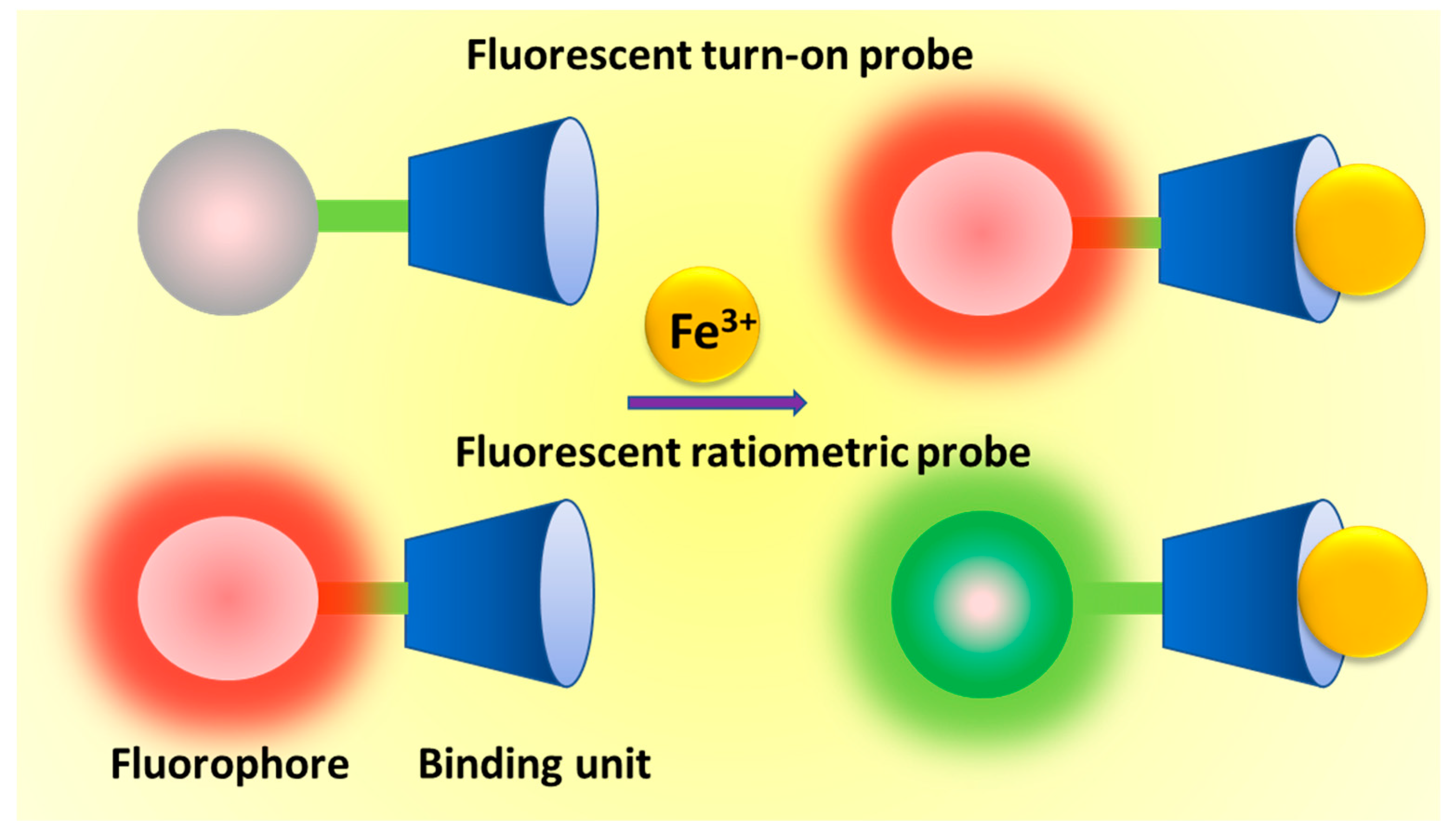 Molecules Free FullText Recent Advances on Iron(III) Selective