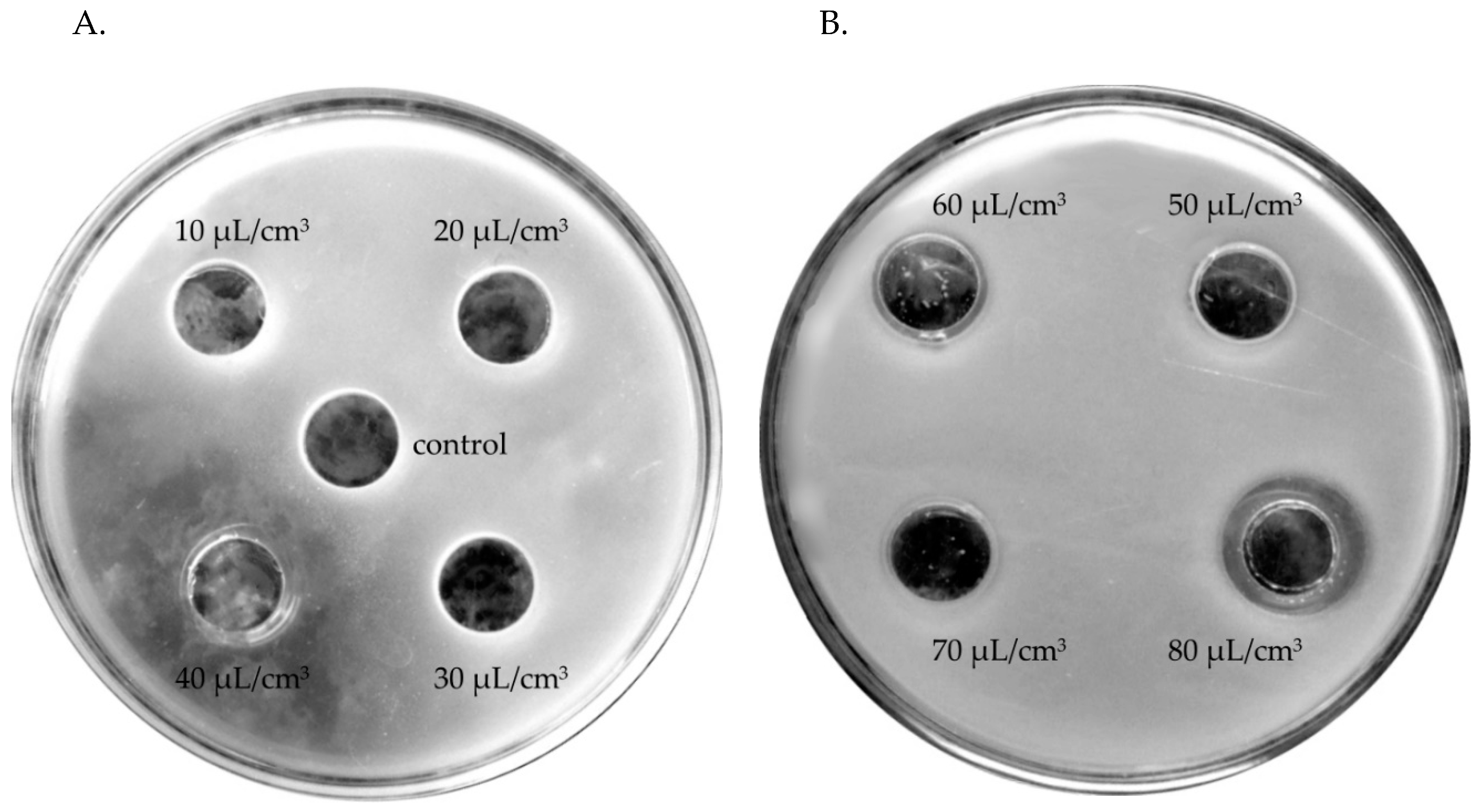 Molecules 24 03270 g003 550