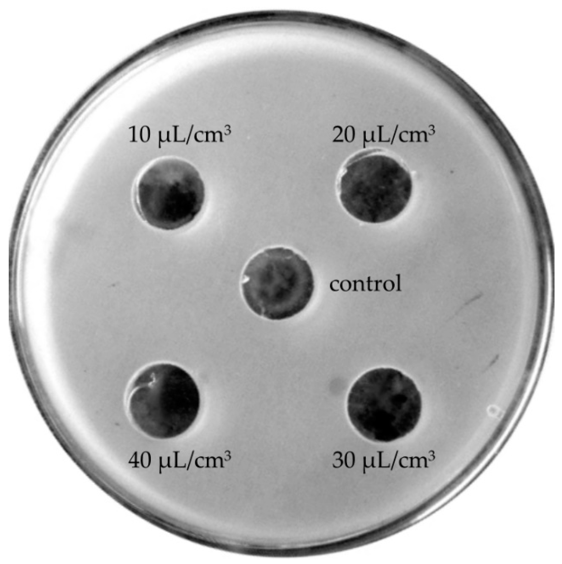 Molecules 24 03270 g004 550