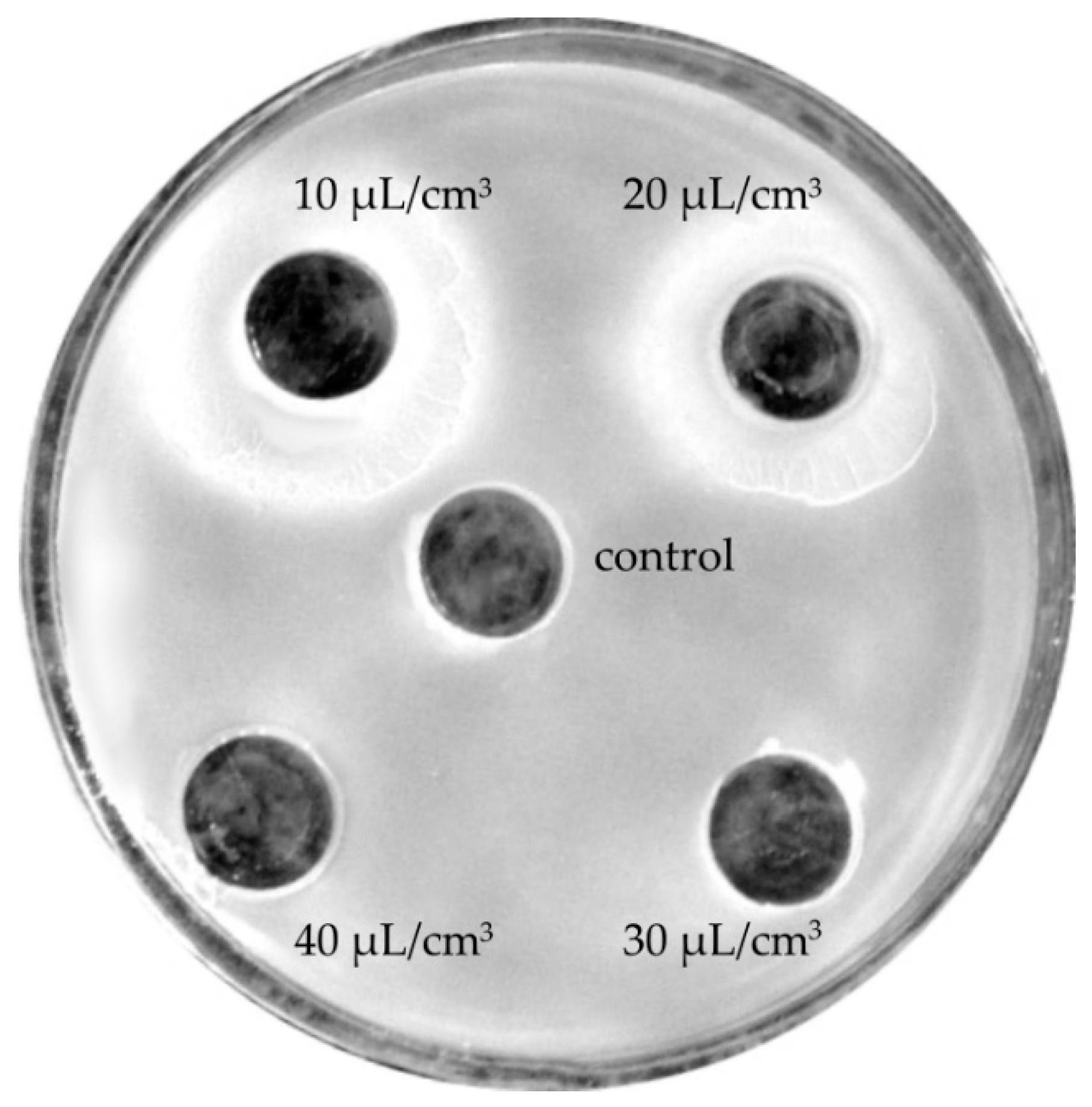 Molecules 24 03270 g005 550