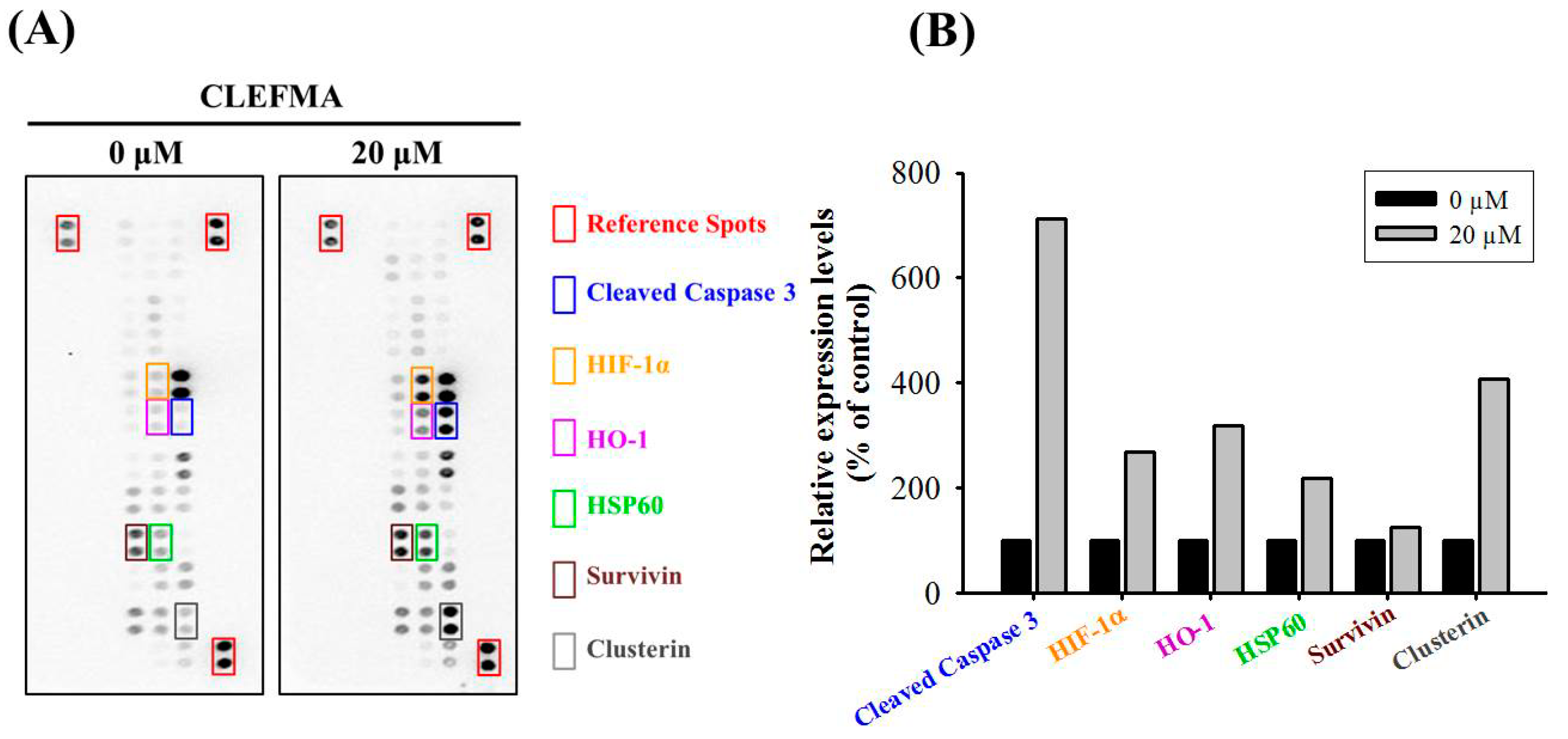Molecules 24 03280 g003