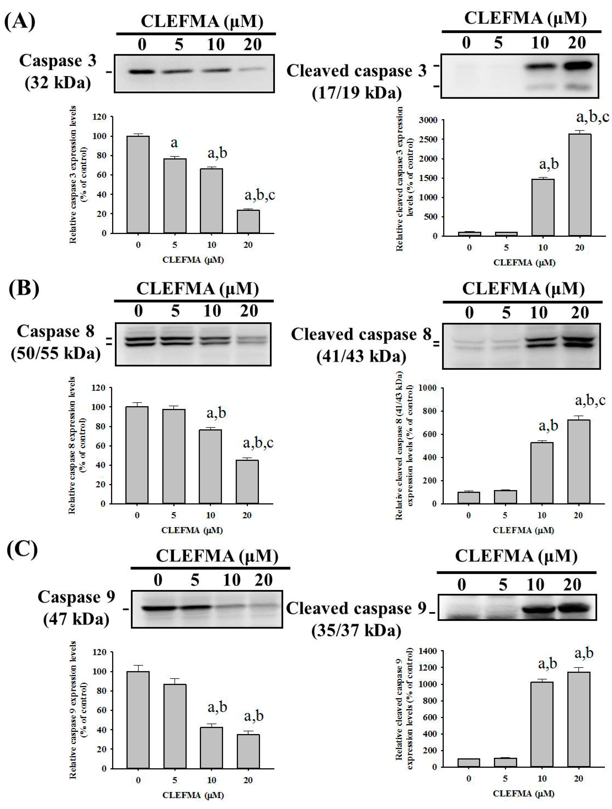 Molecules 24 03280 g004