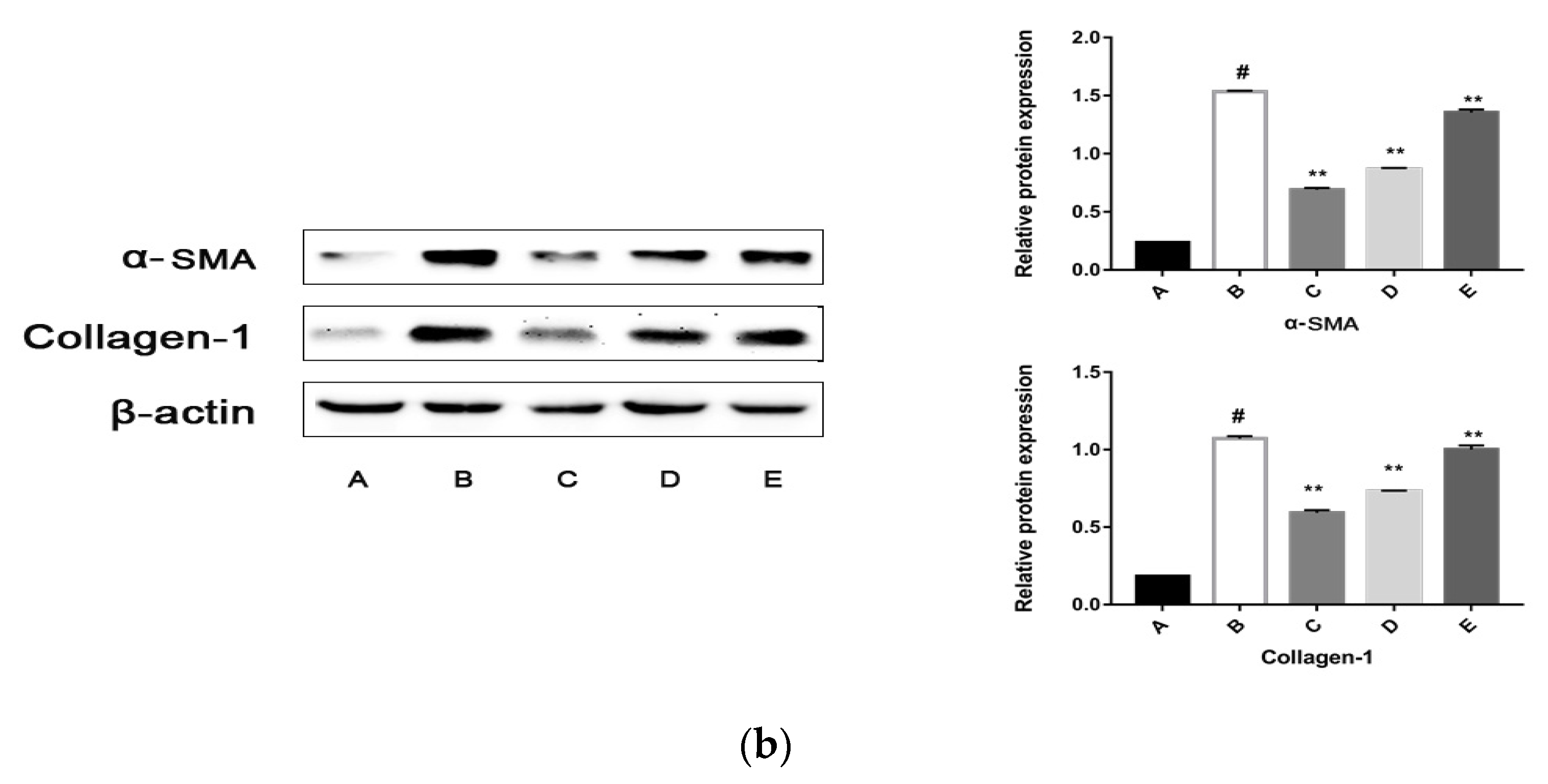Molecules 24 03282 g006b Molecules 24 03282 g006b
