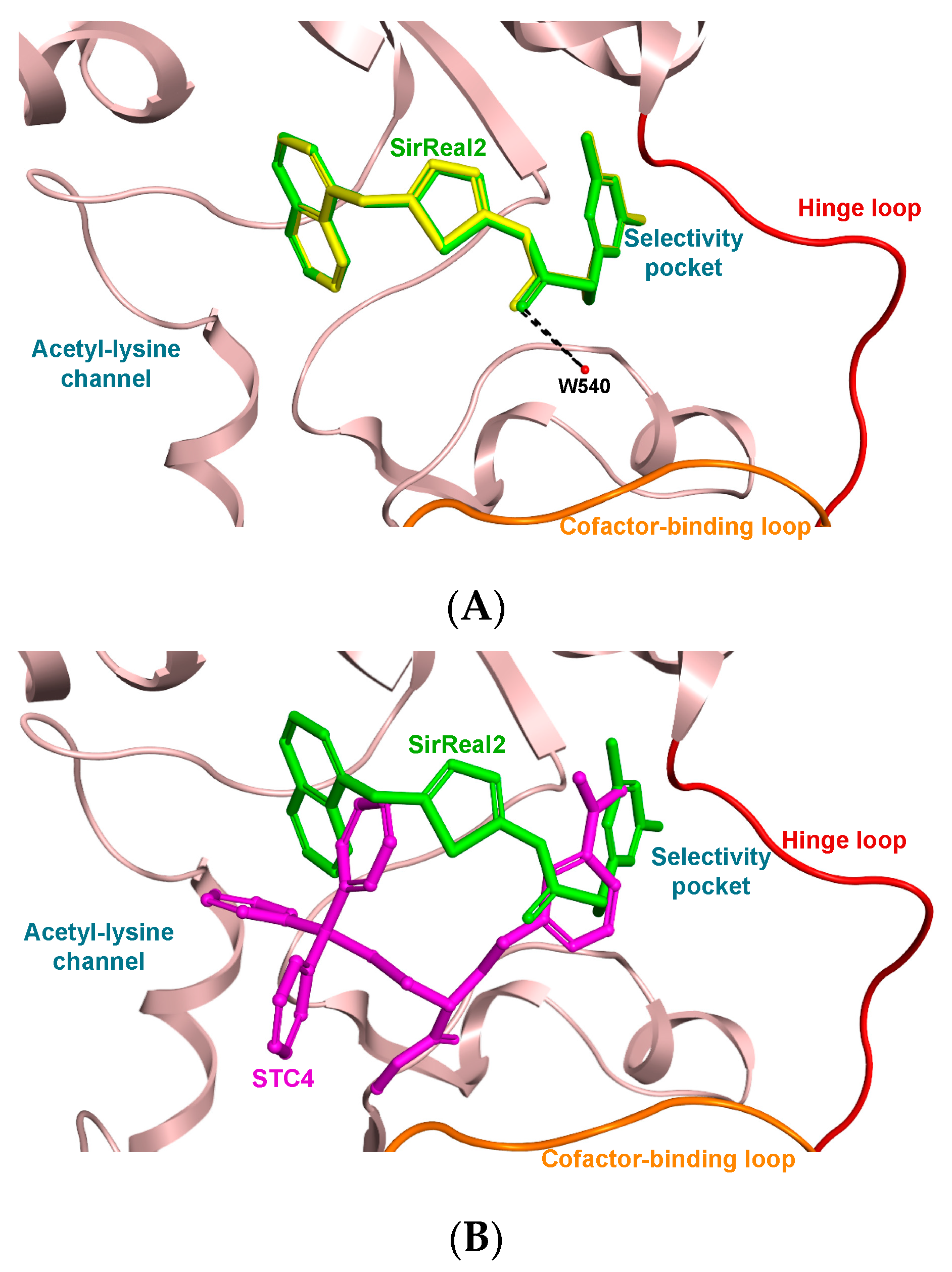 Molecules 24 03295 g004a