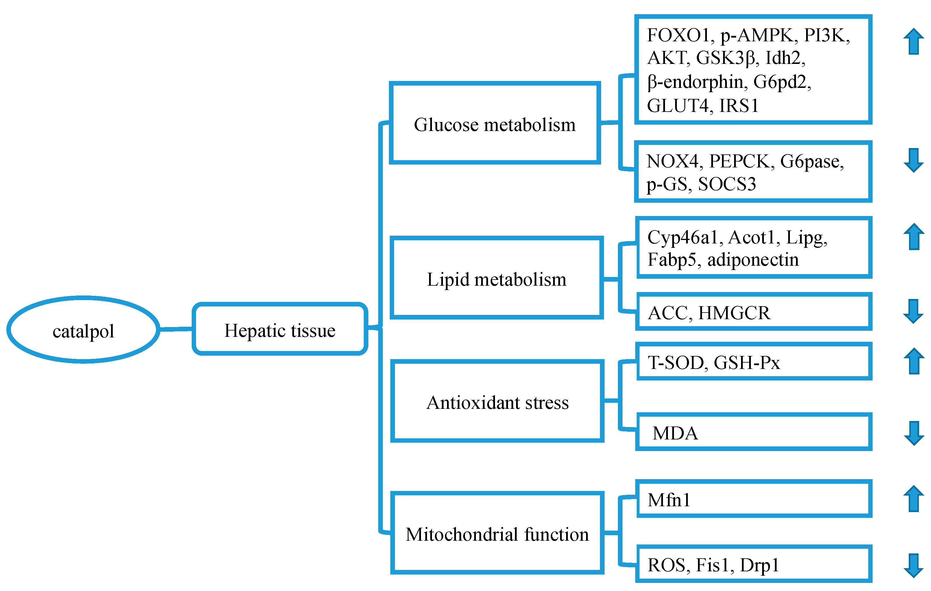 Molecules 24 03302 g002
