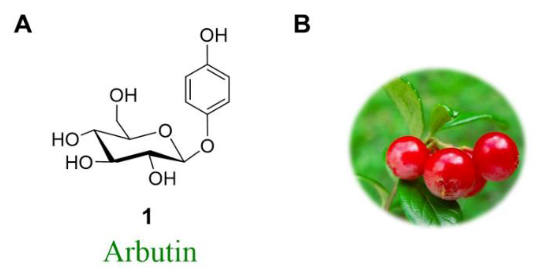Molecules 24 03303 g001