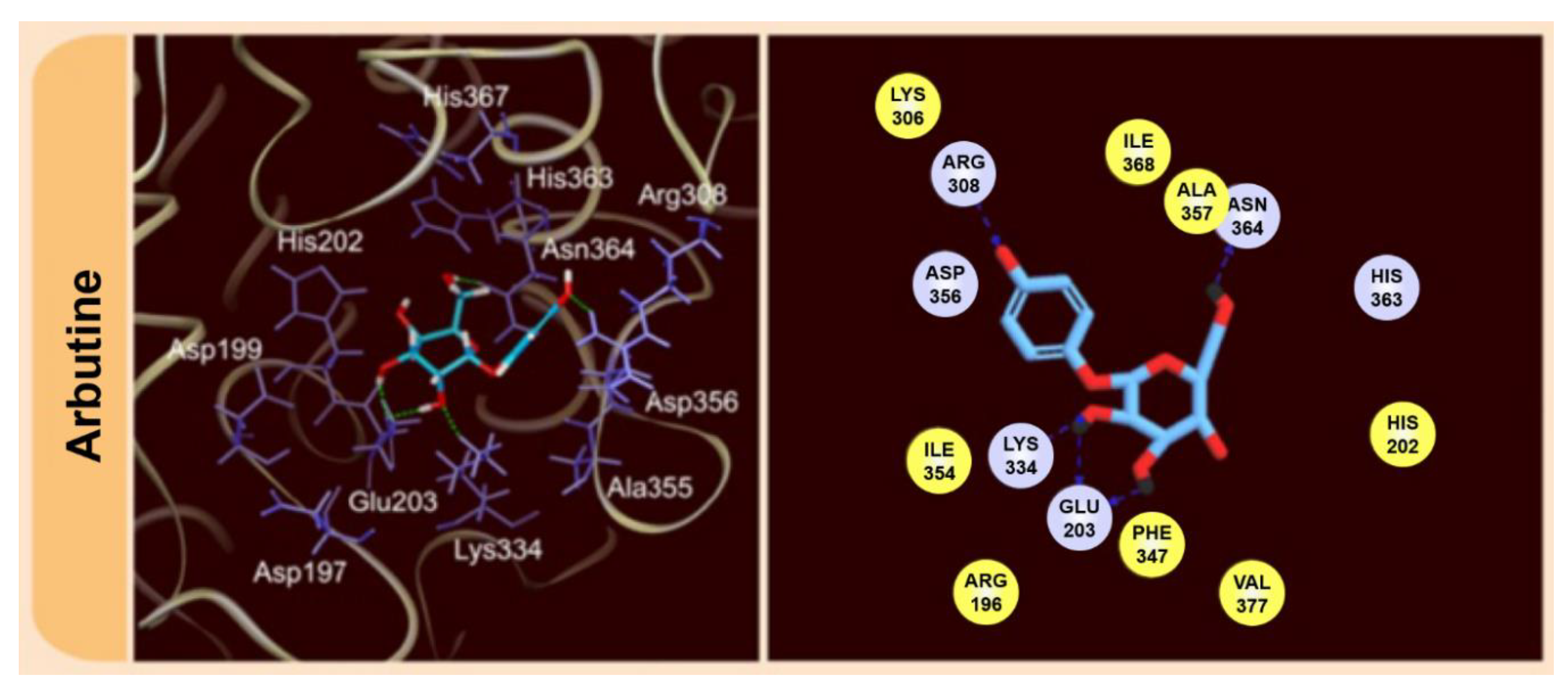 Molecules 24 03303 g002