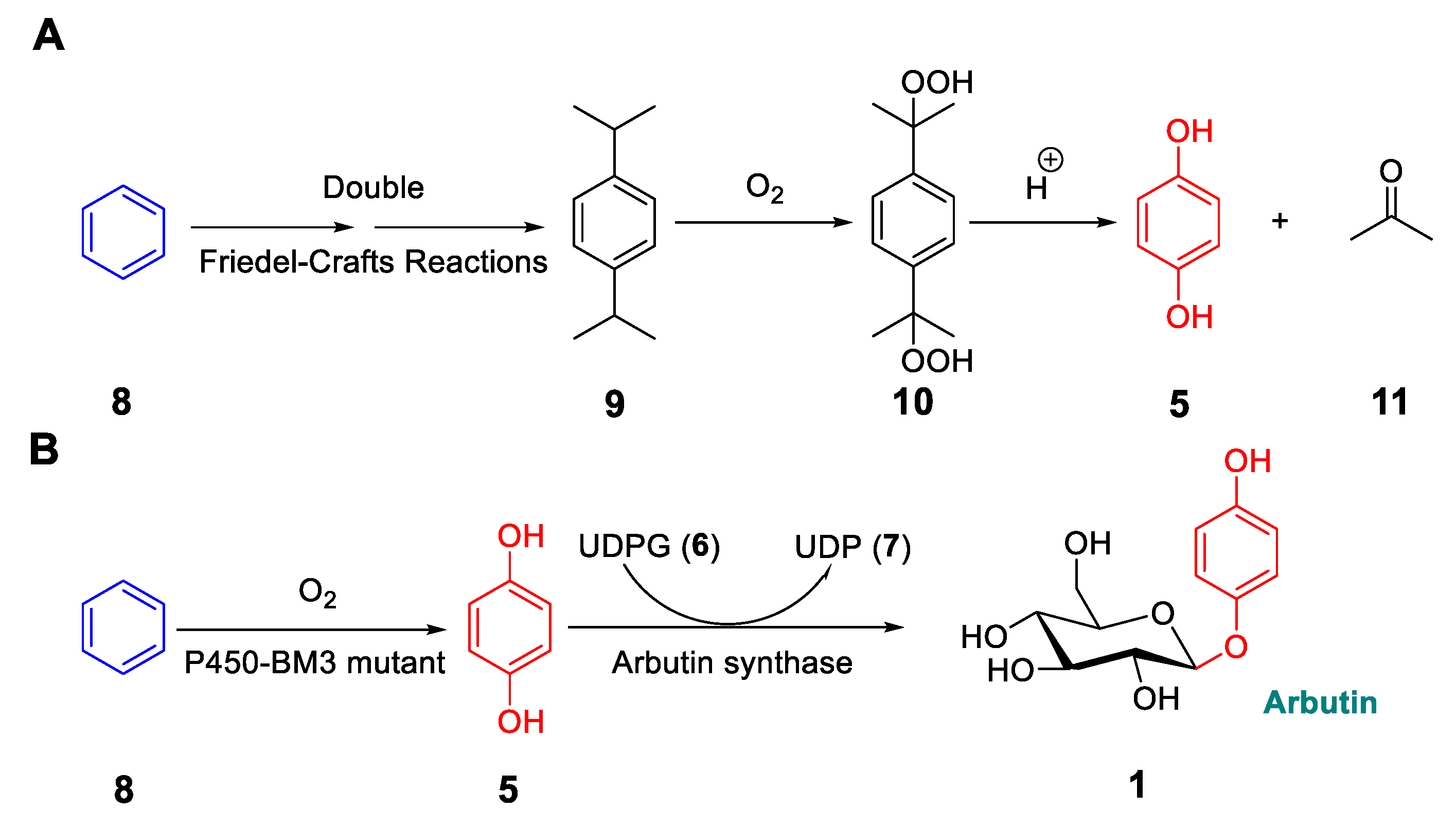 Molecules 24 03303 g004