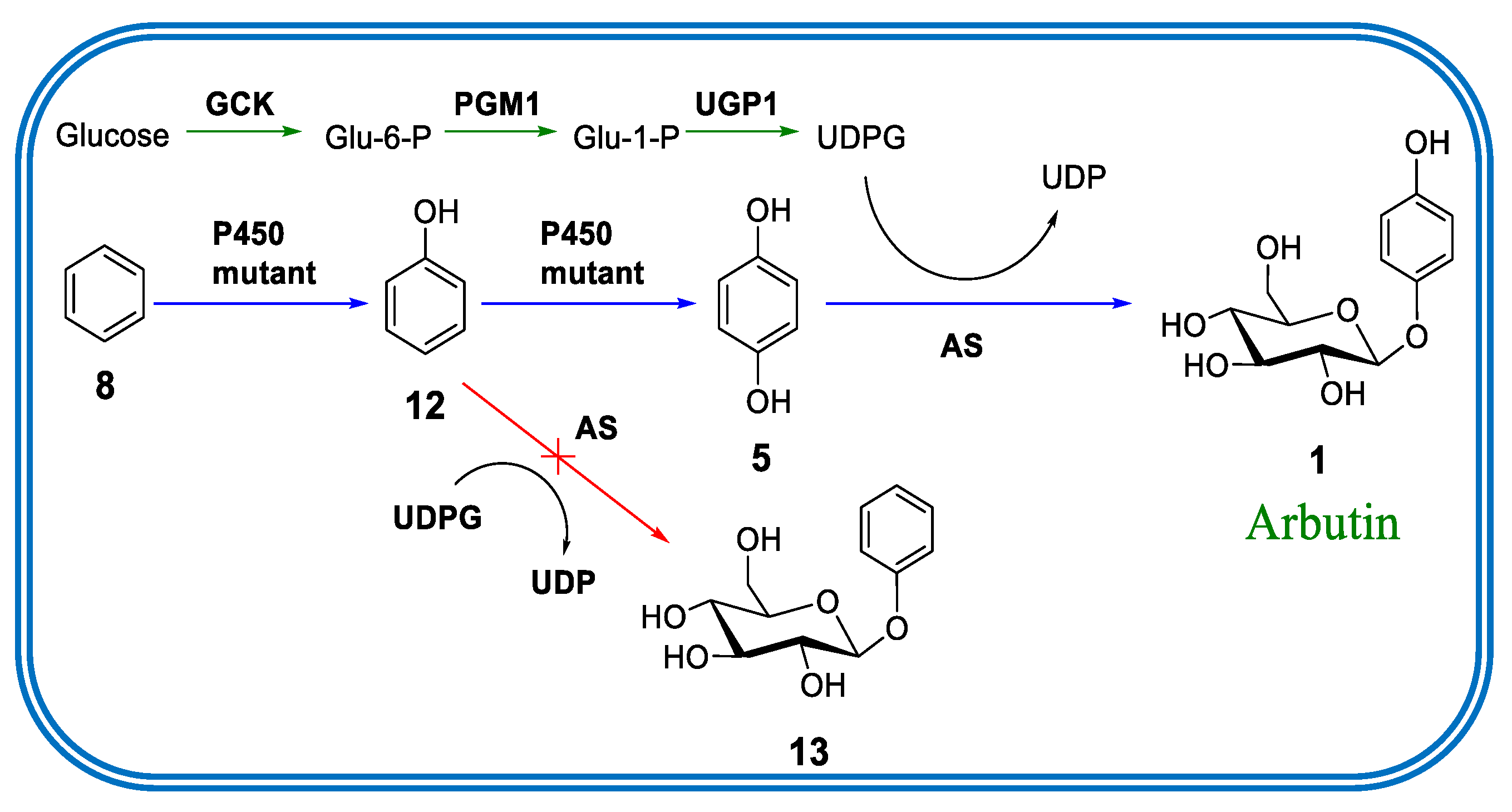 Molecules 24 03303 g005