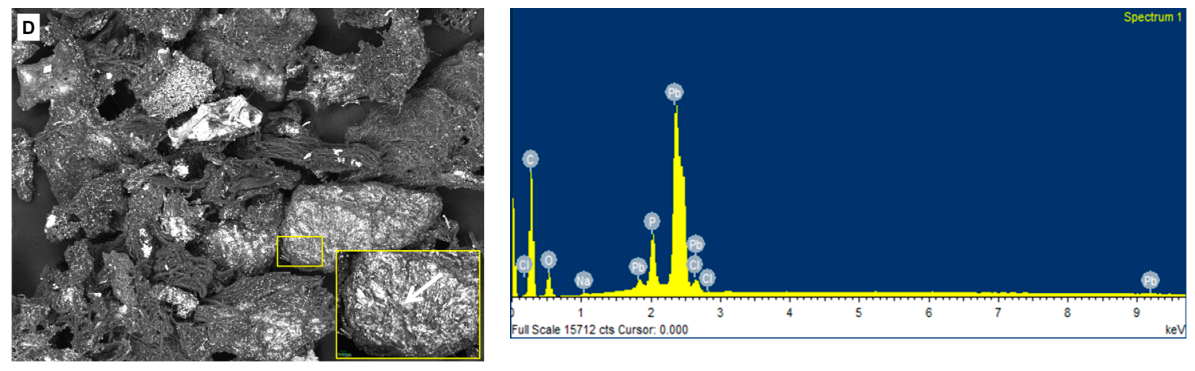 Molecules 24 03306 g006b