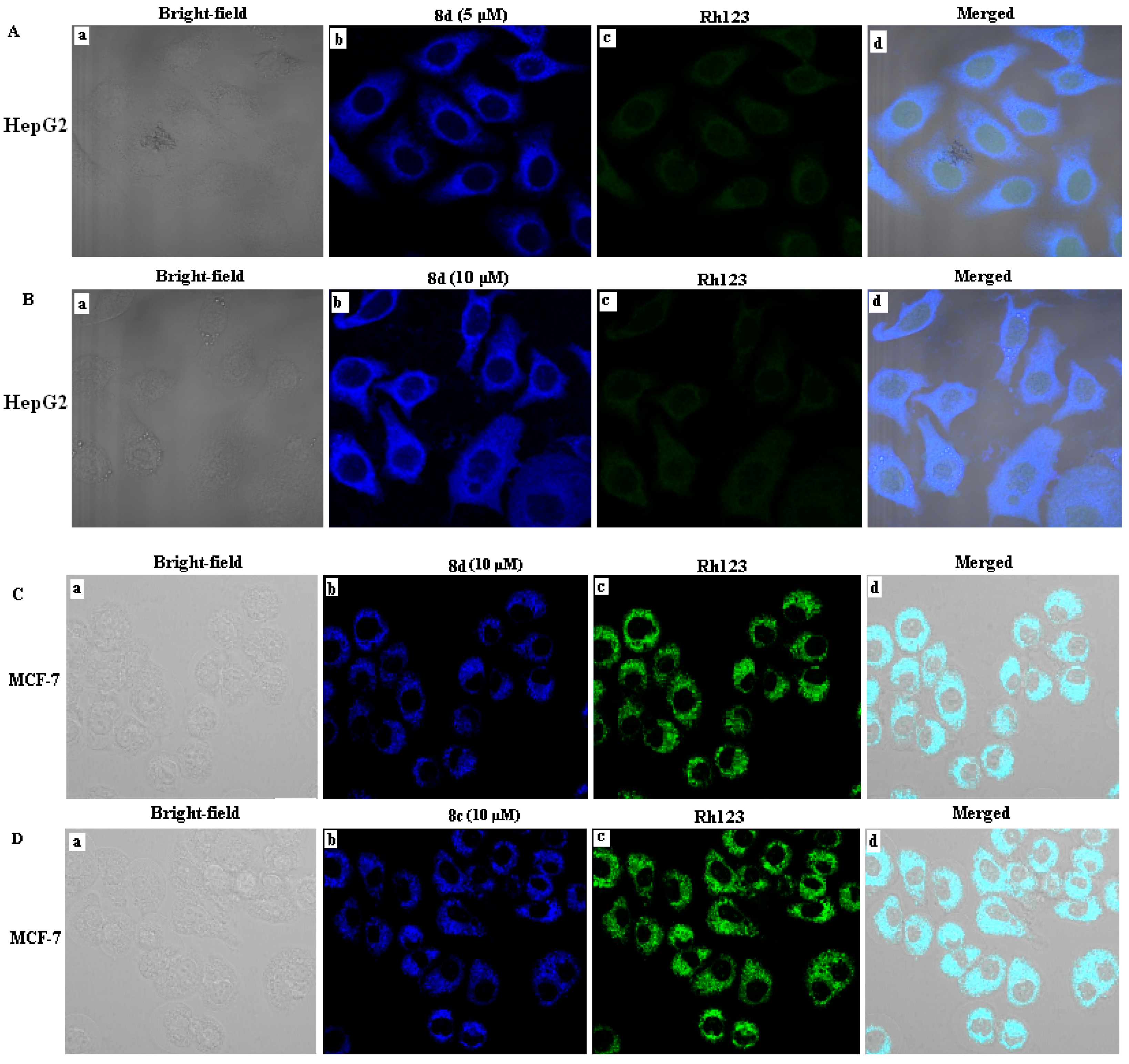 Molecules 24 03307 g002