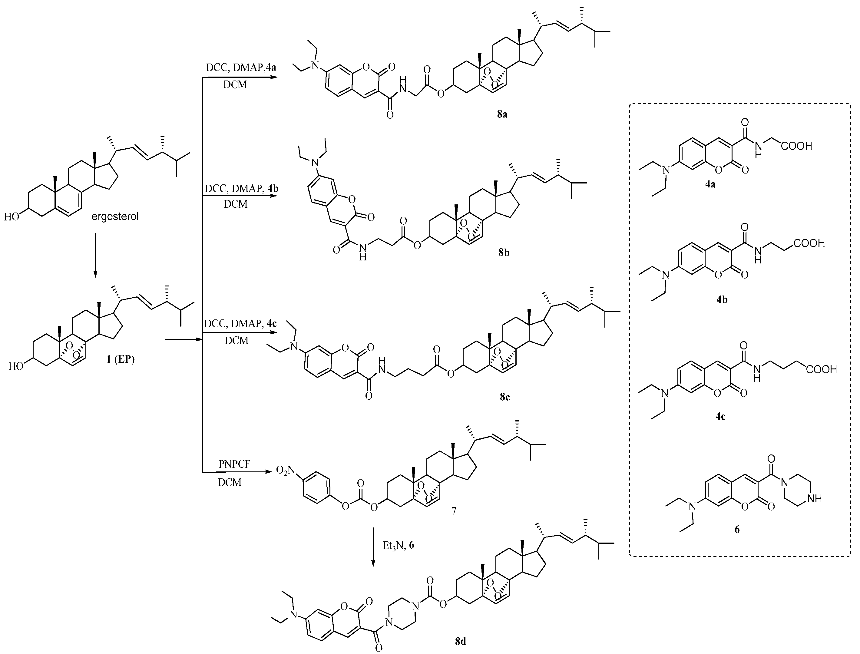 Molecules 24 03307 sch002