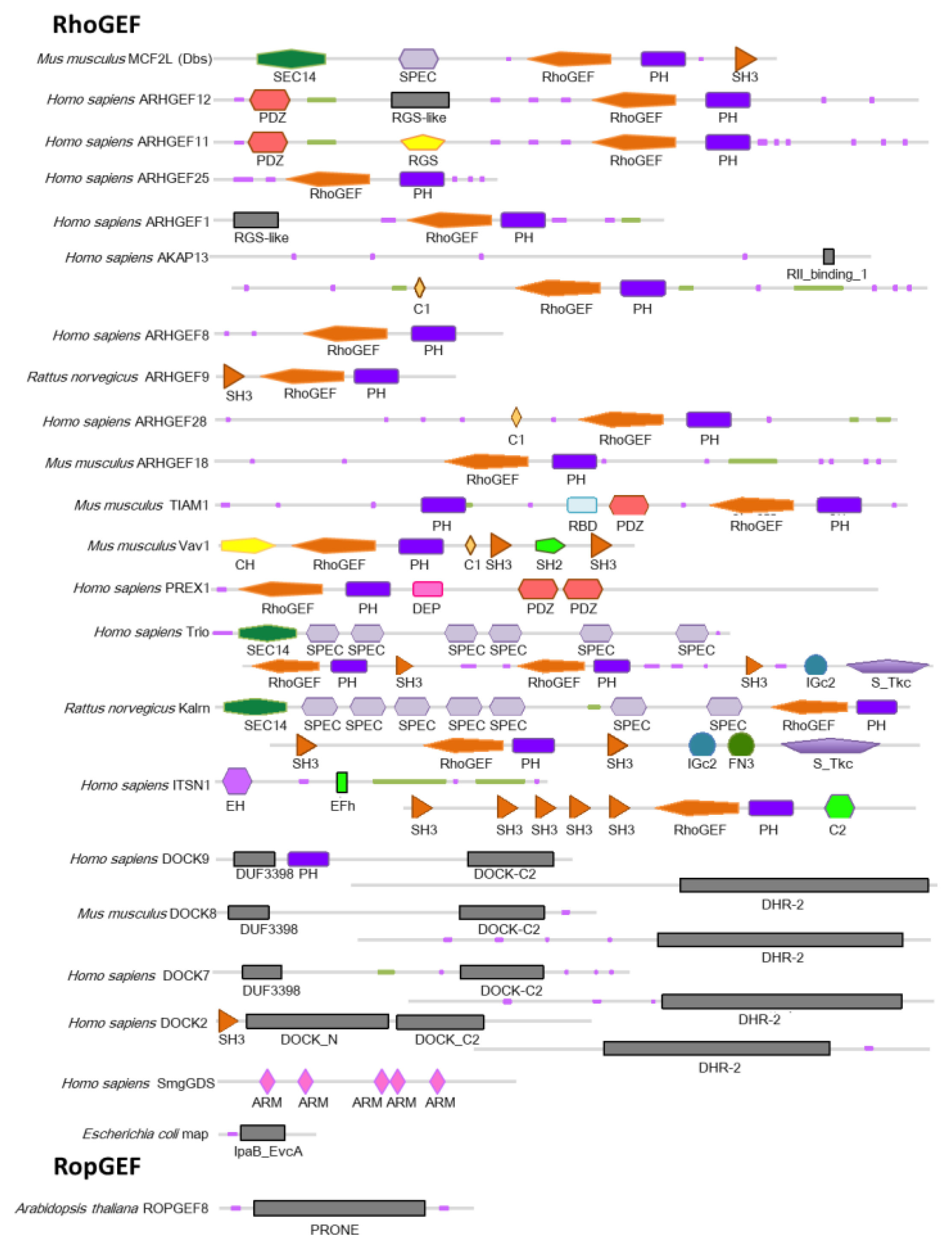 Molecules 24 03308 g002b