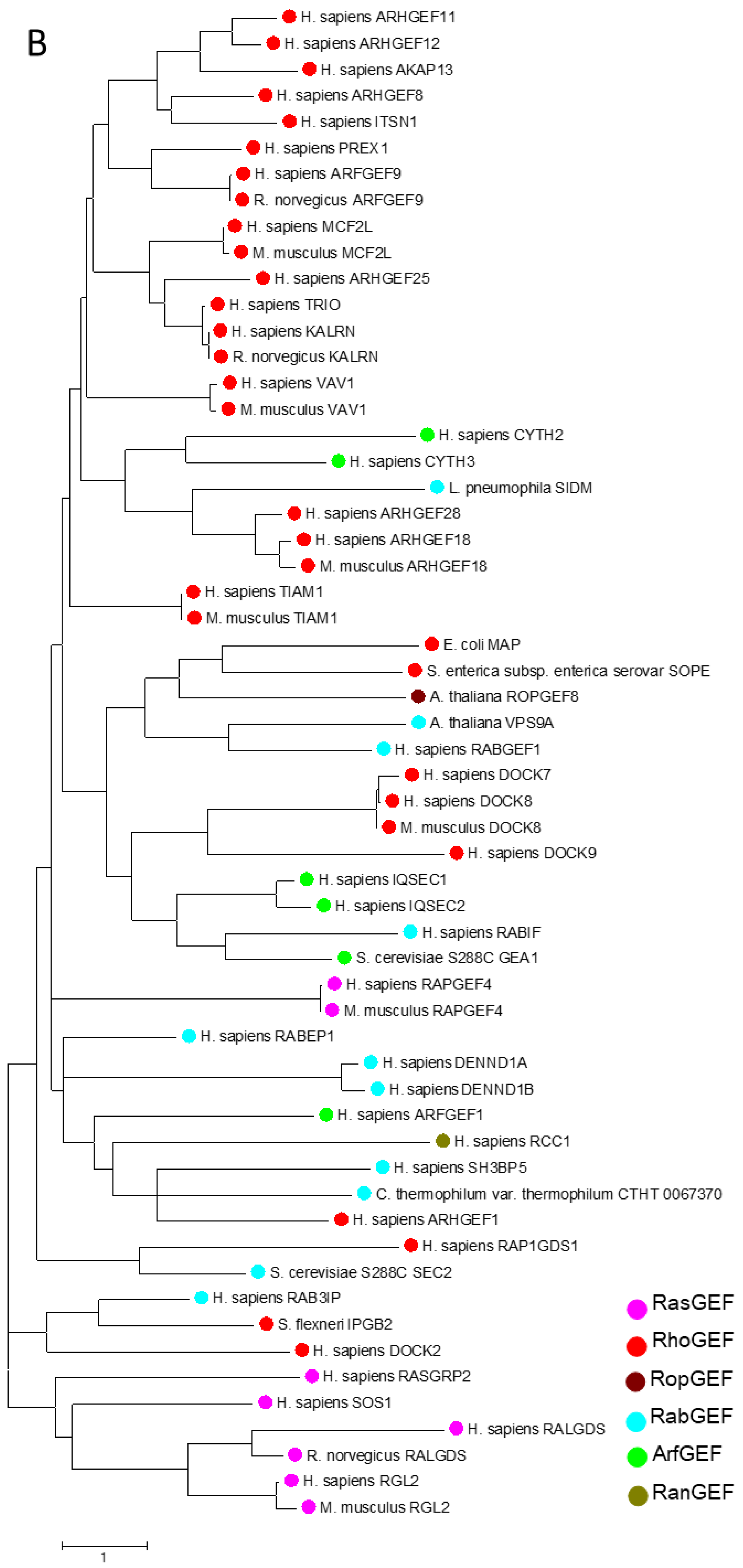 Molecules 24 03308 g002c