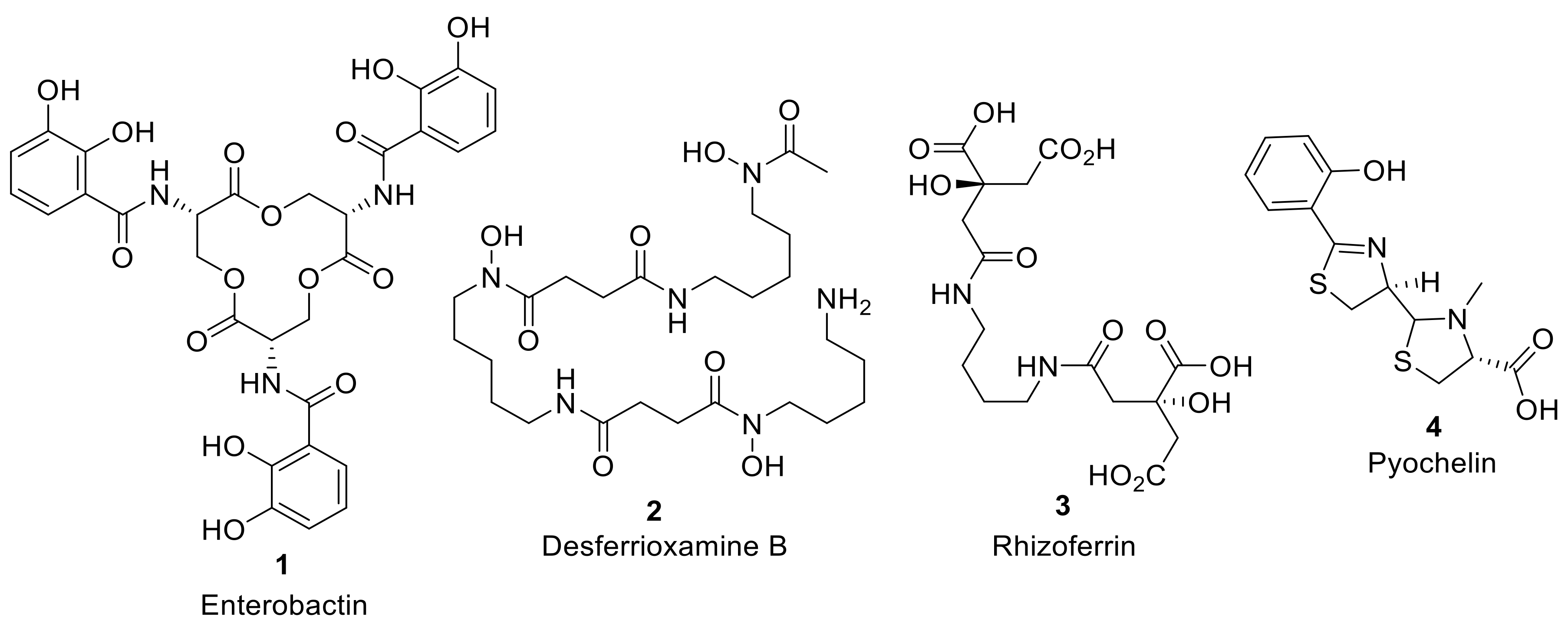 Molecules 24 03314 g001