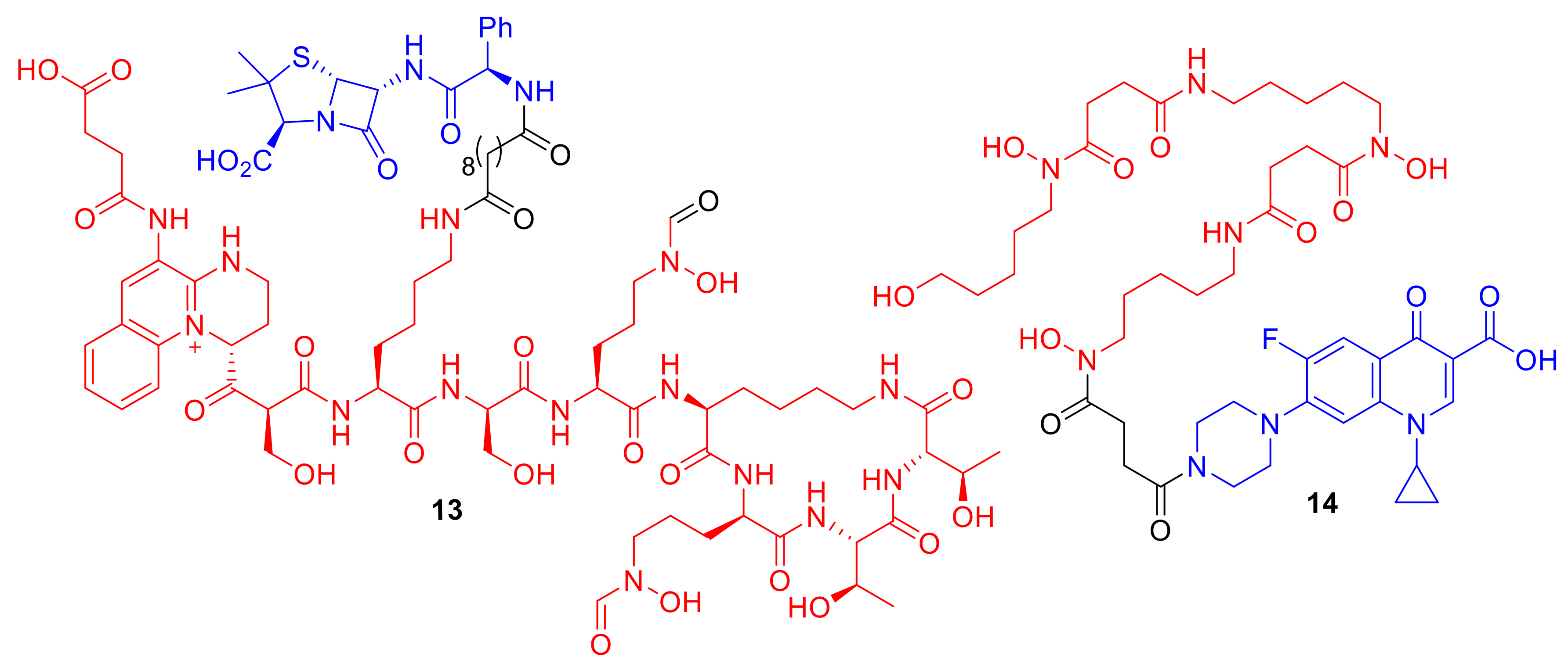 Molecules 24 03314 g006