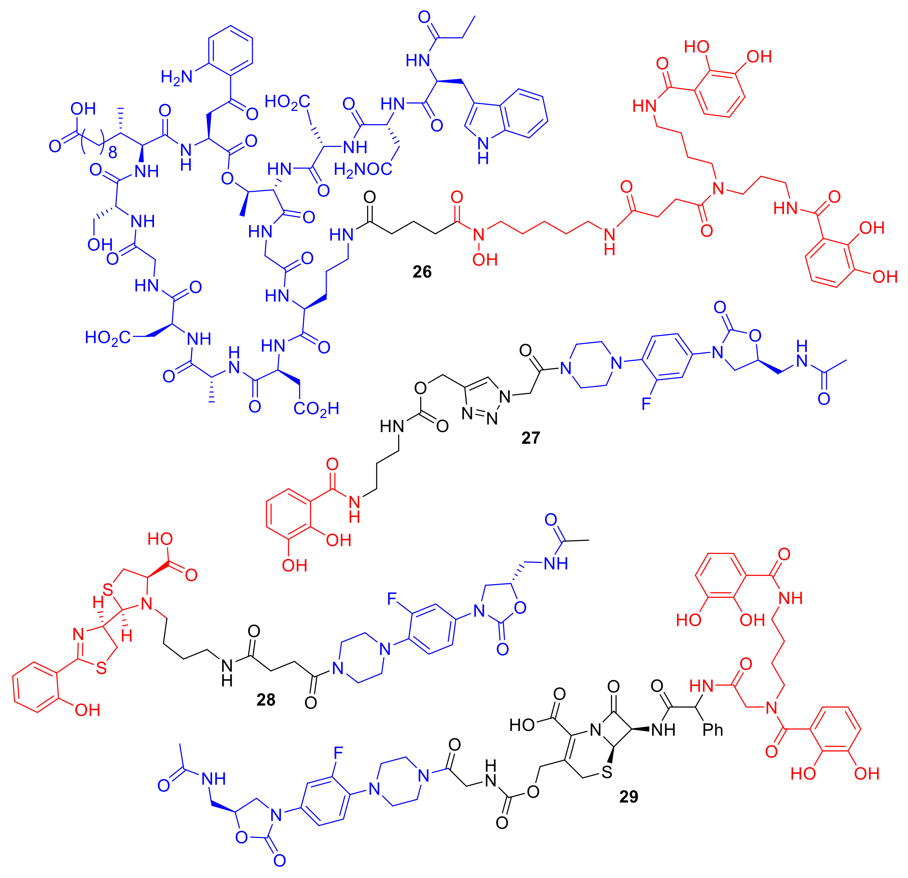 Molecules 24 03314 g010