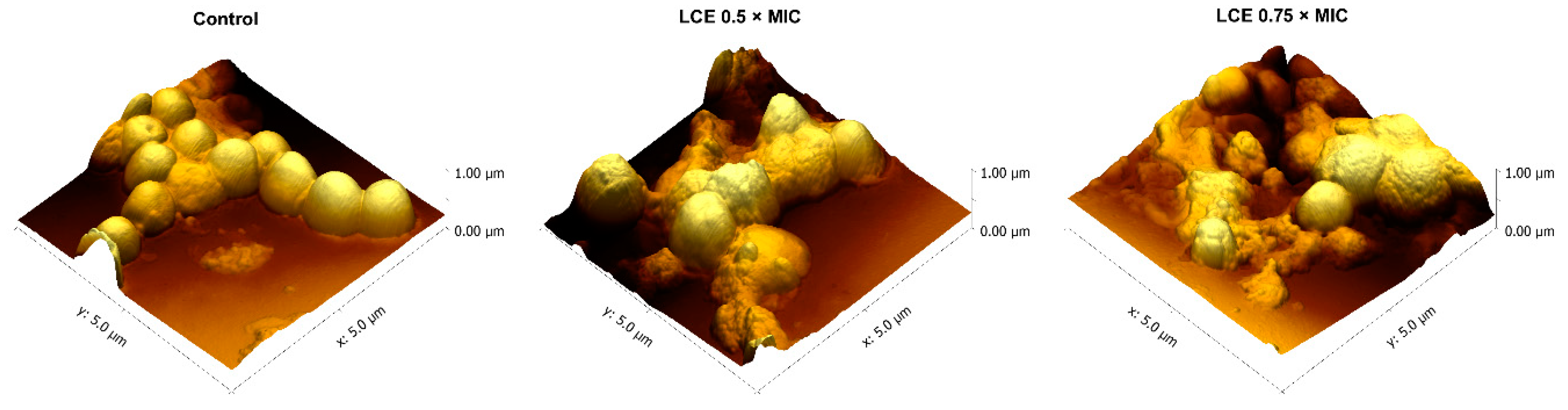 Molecules 24 03318 g001 Molecules 24 03318 g001