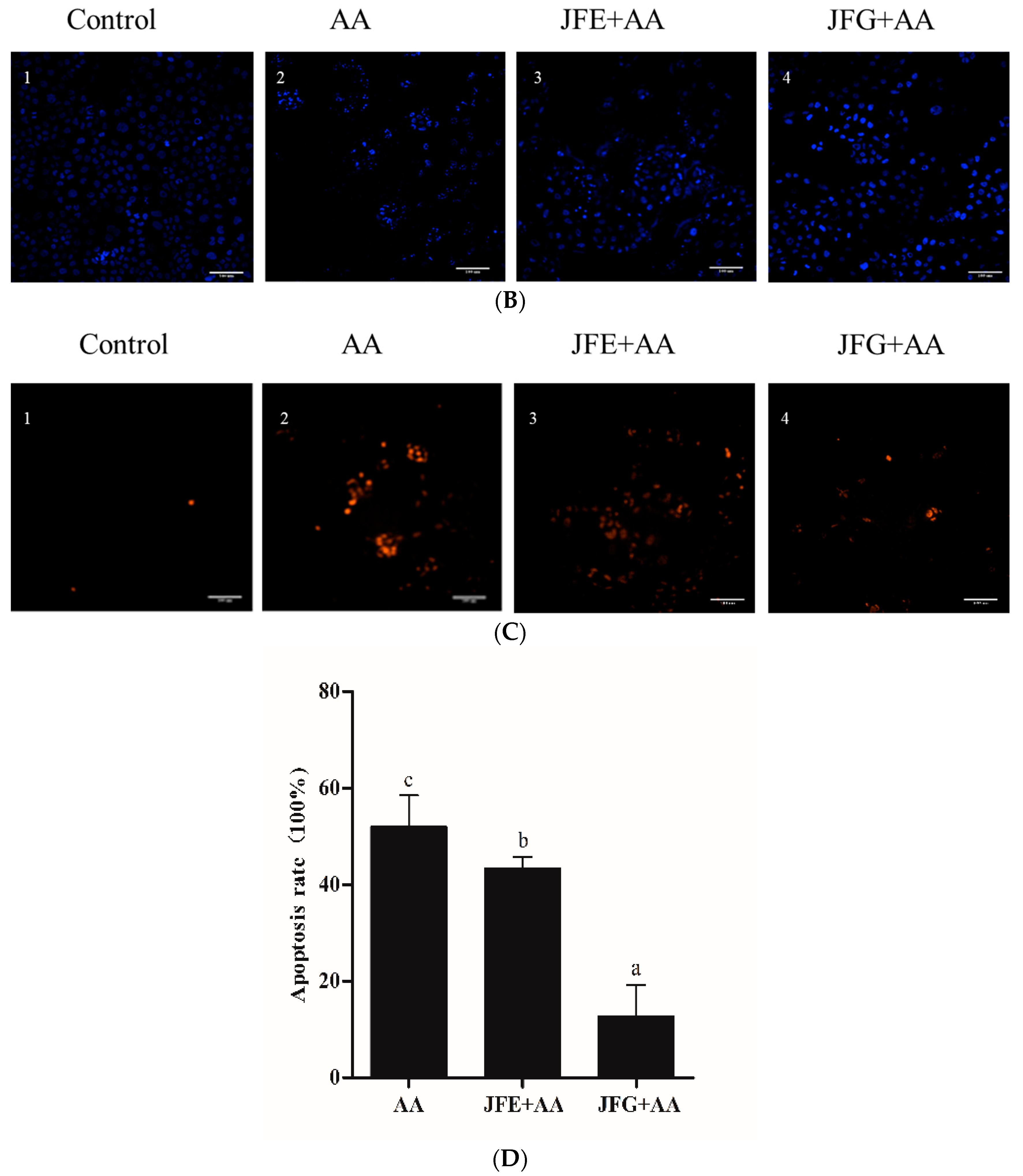 Molecules 24 03322 g002b 550