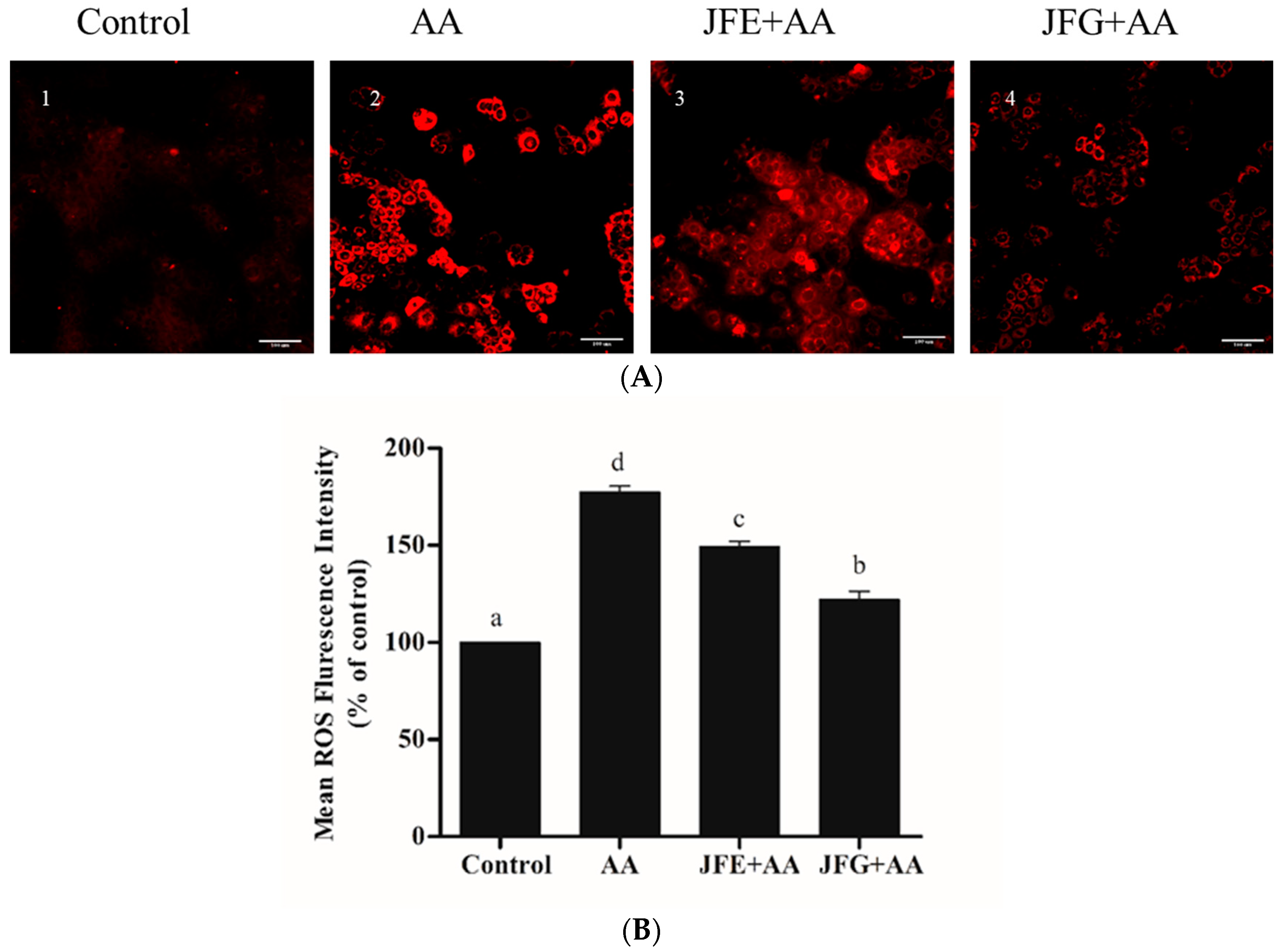 Molecules 24 03322 g003 550