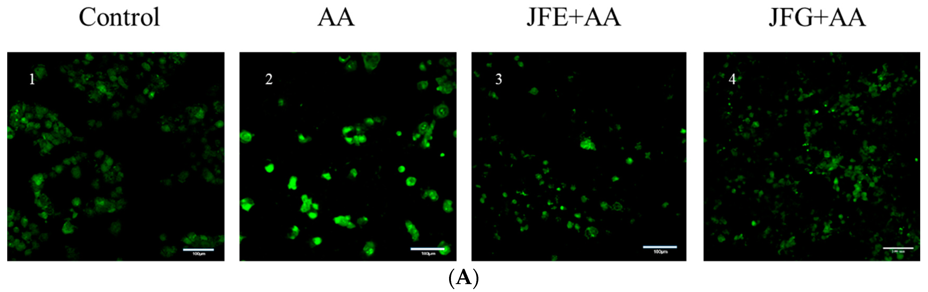 Molecules 24 03322 g004a 550