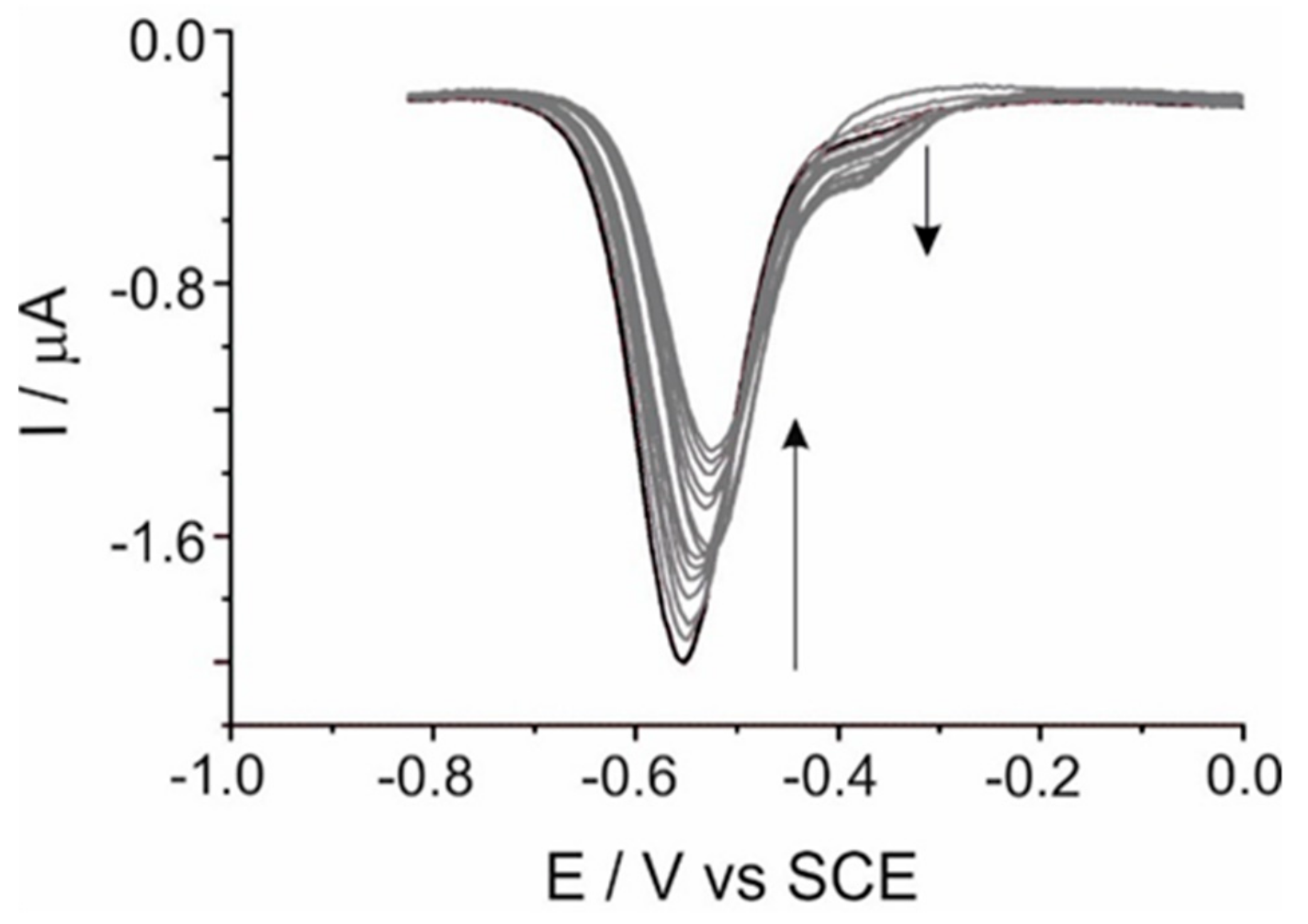 Molecules 24 03326 g004
