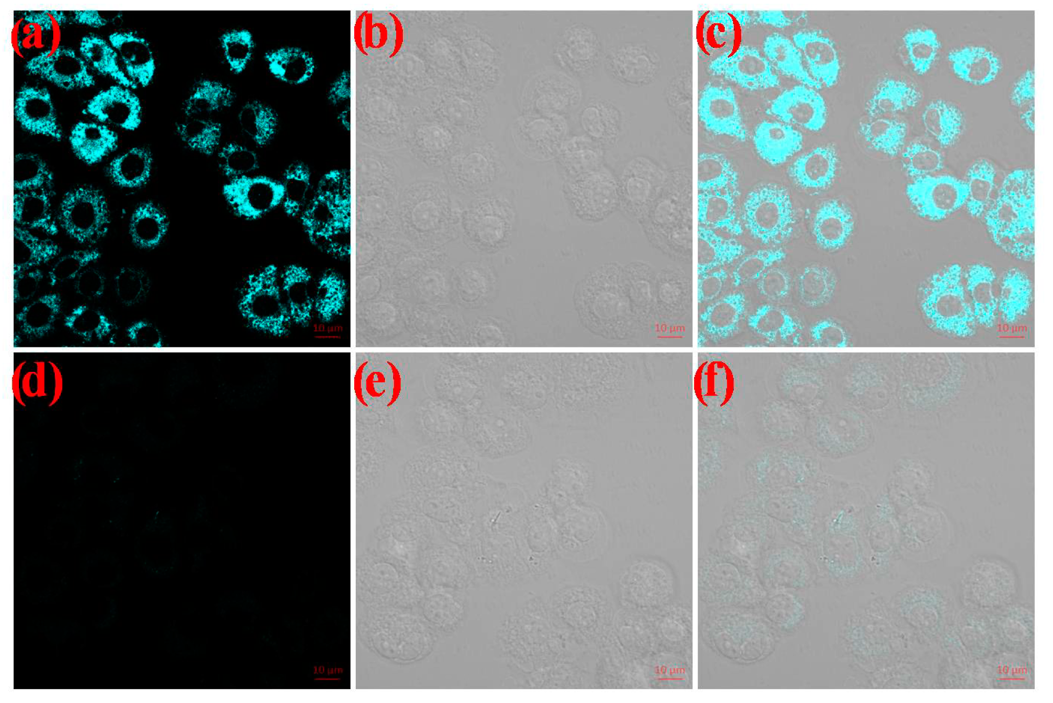 Molecules 24 03328 g005 Molecules 24 03328 g005