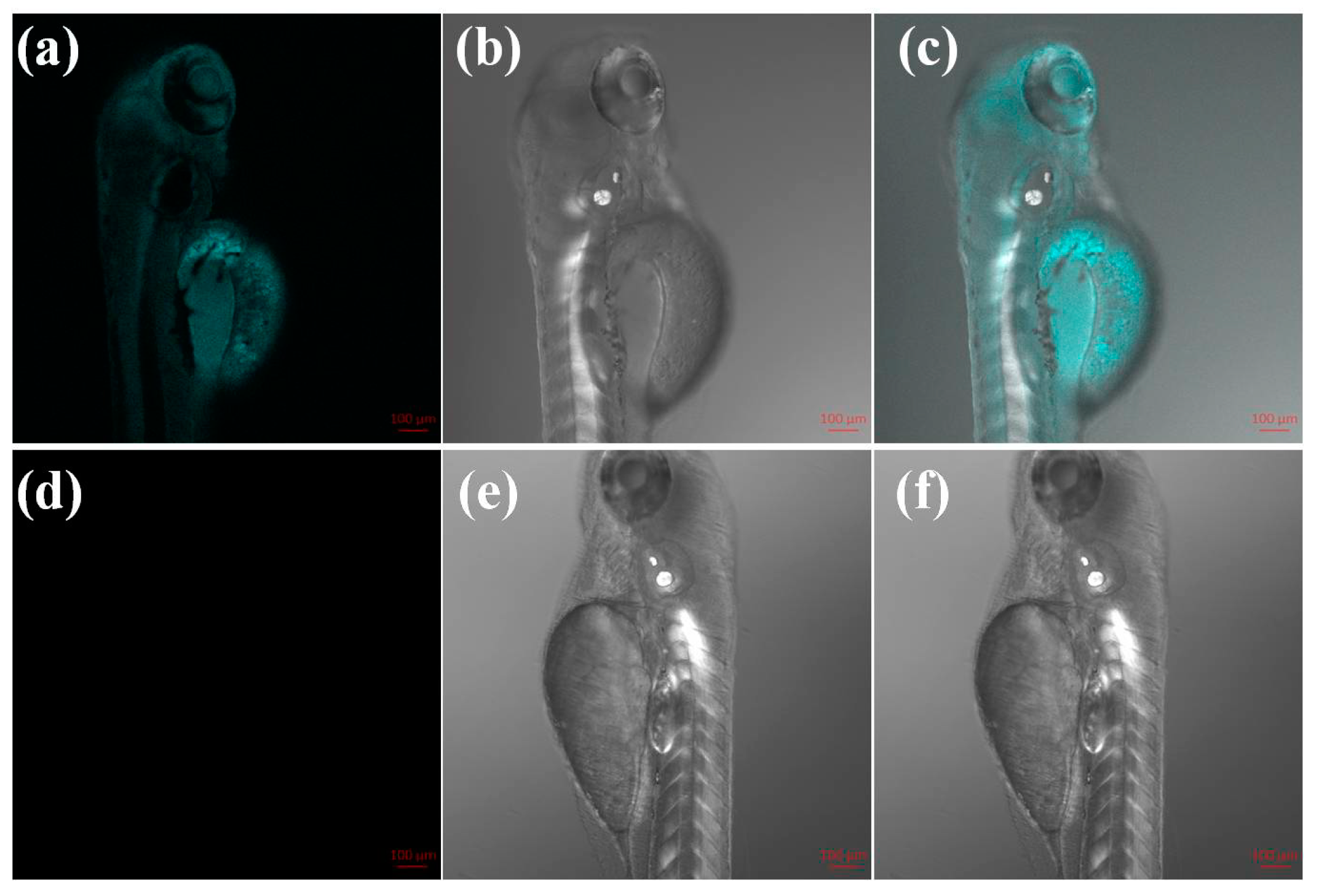 Molecules 24 03328 g006 Molecules 24 03328 g006