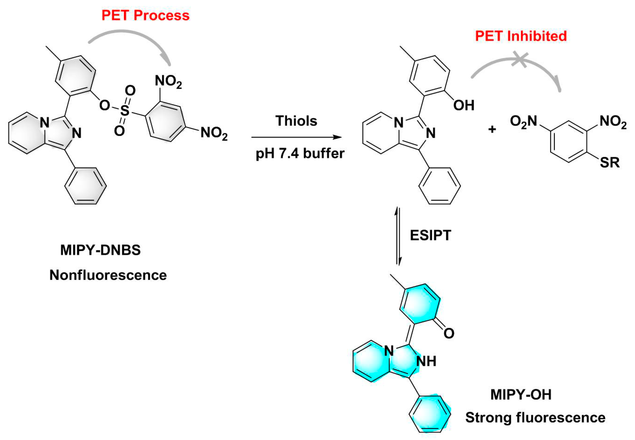 Molecules 24 03328 sch002 Molecules 24 03328 sch002