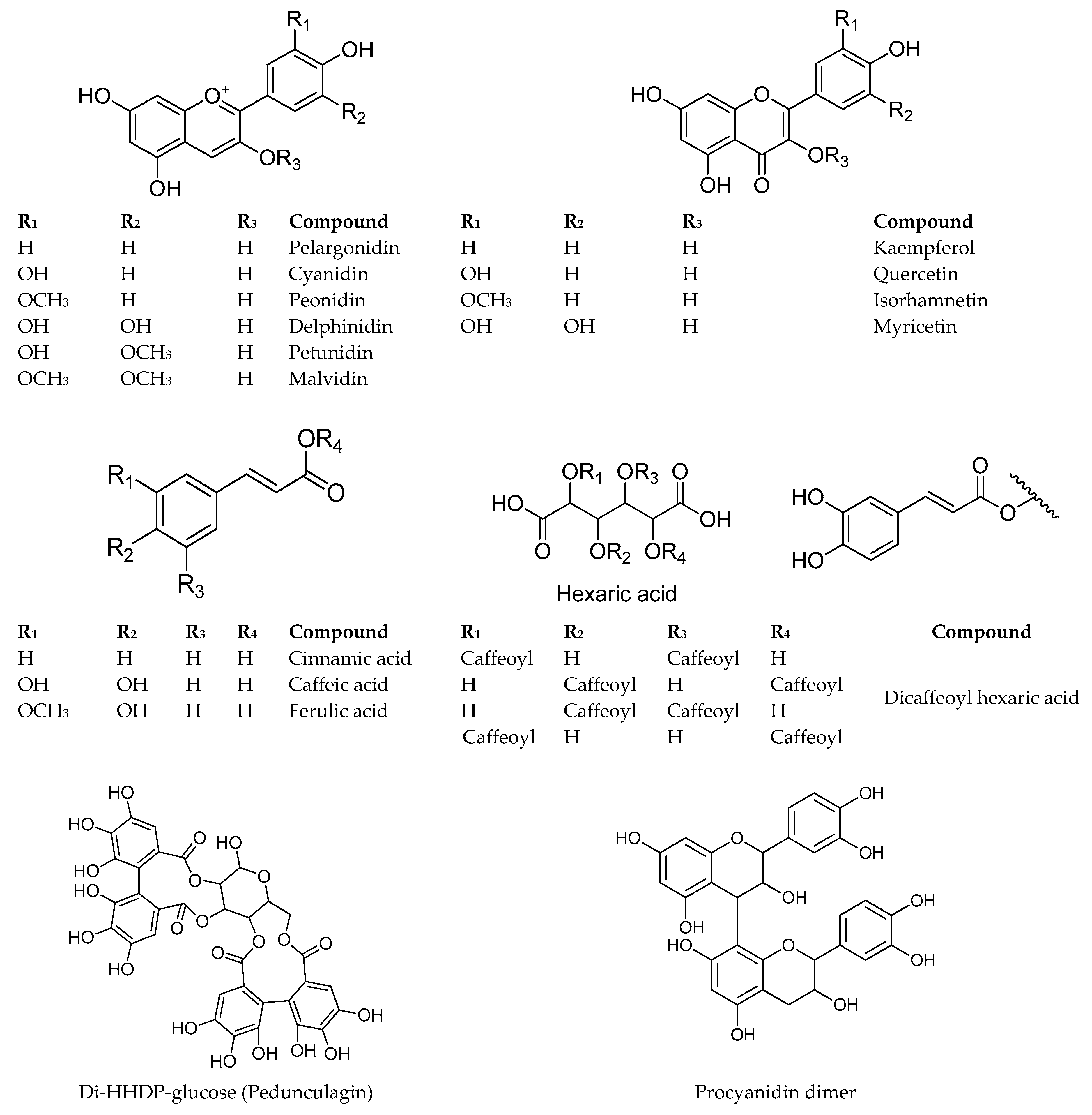 Molecules 24 03331 g006