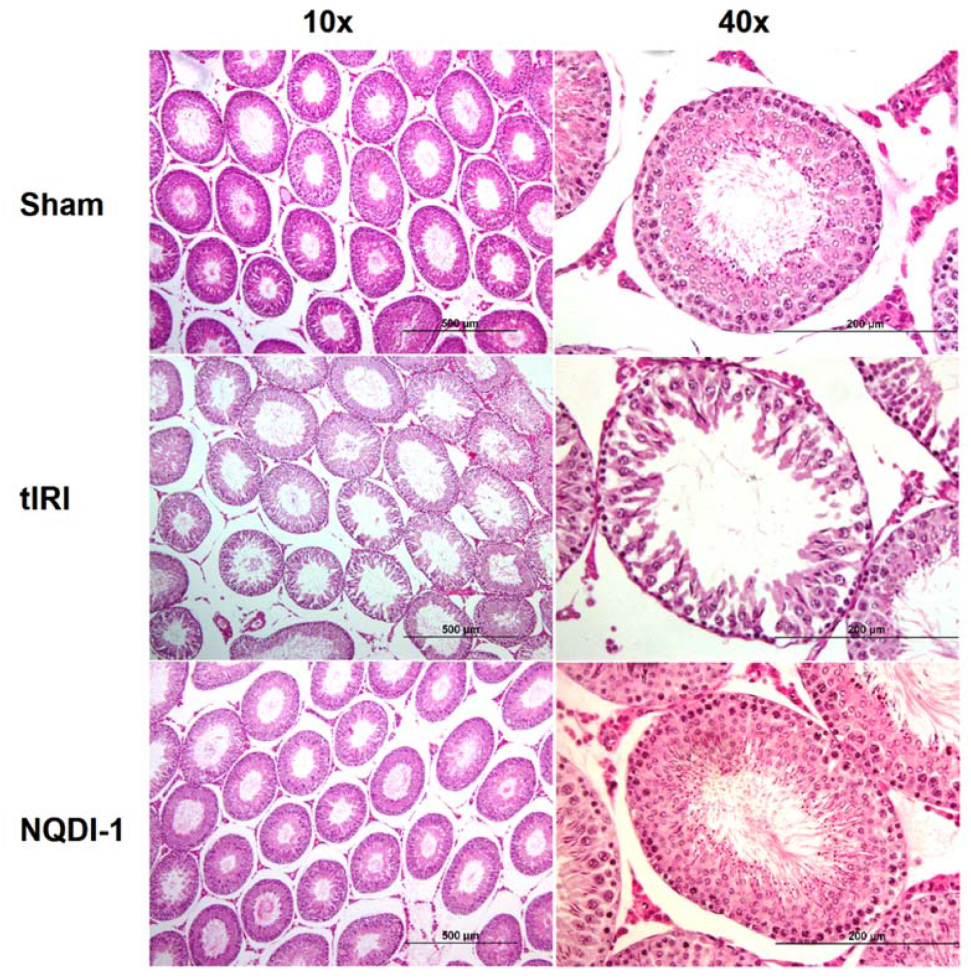 Molecules 24 03333 g001