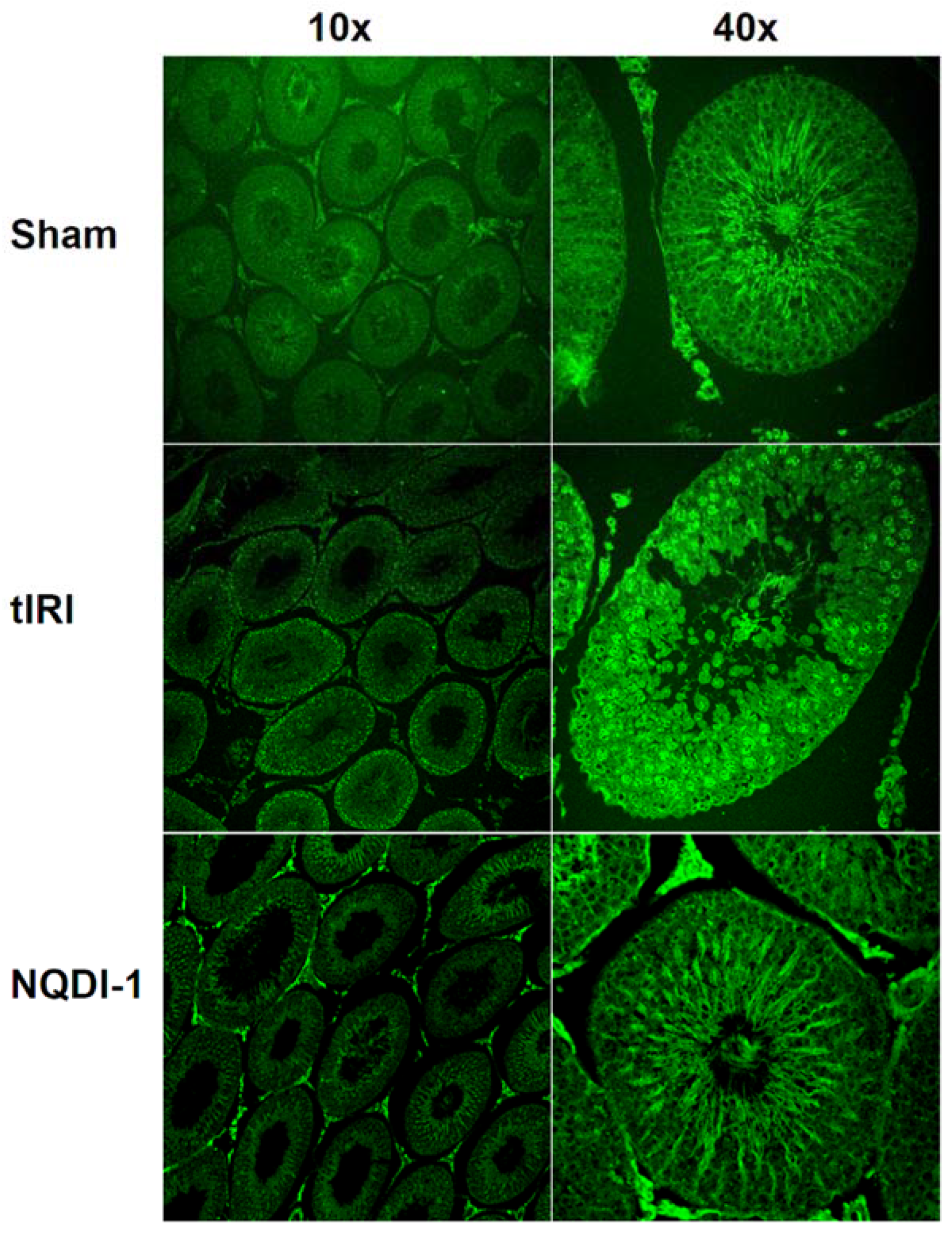 Molecules 24 03333 g003