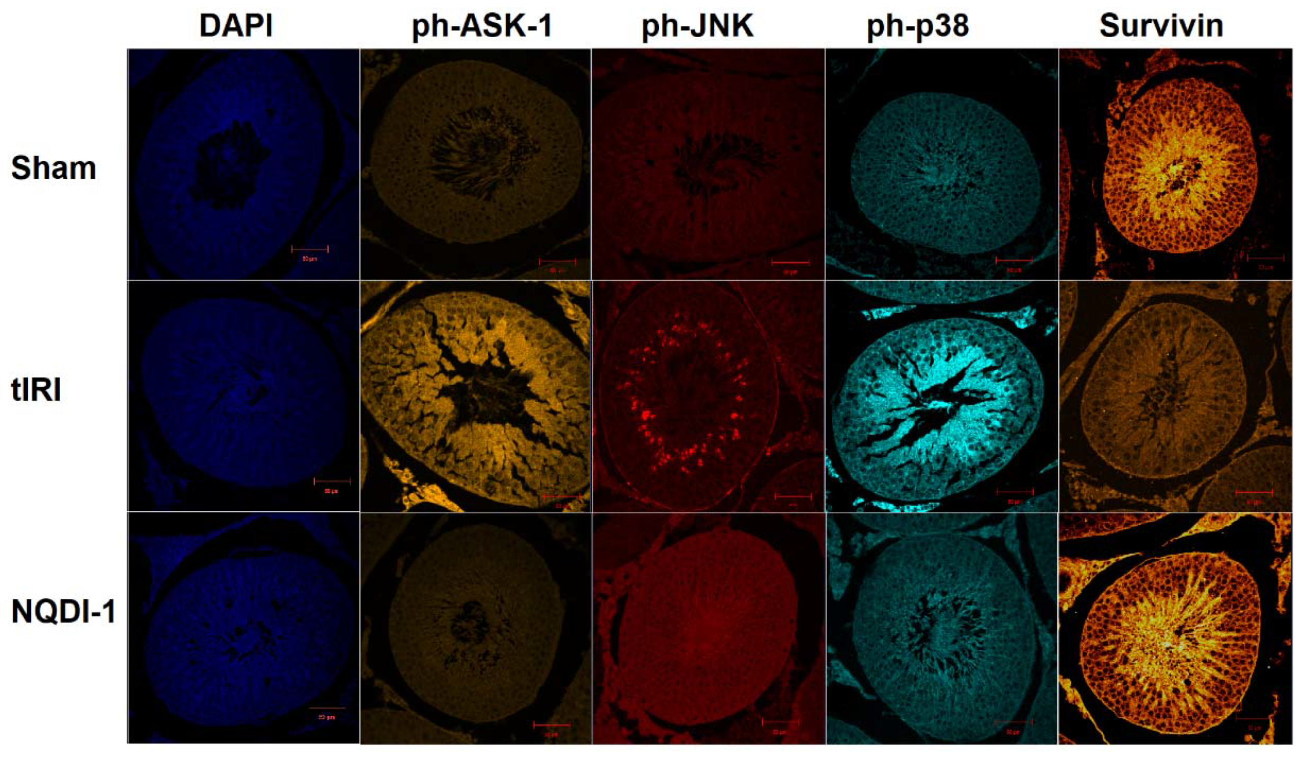 Molecules 24 03333 g005