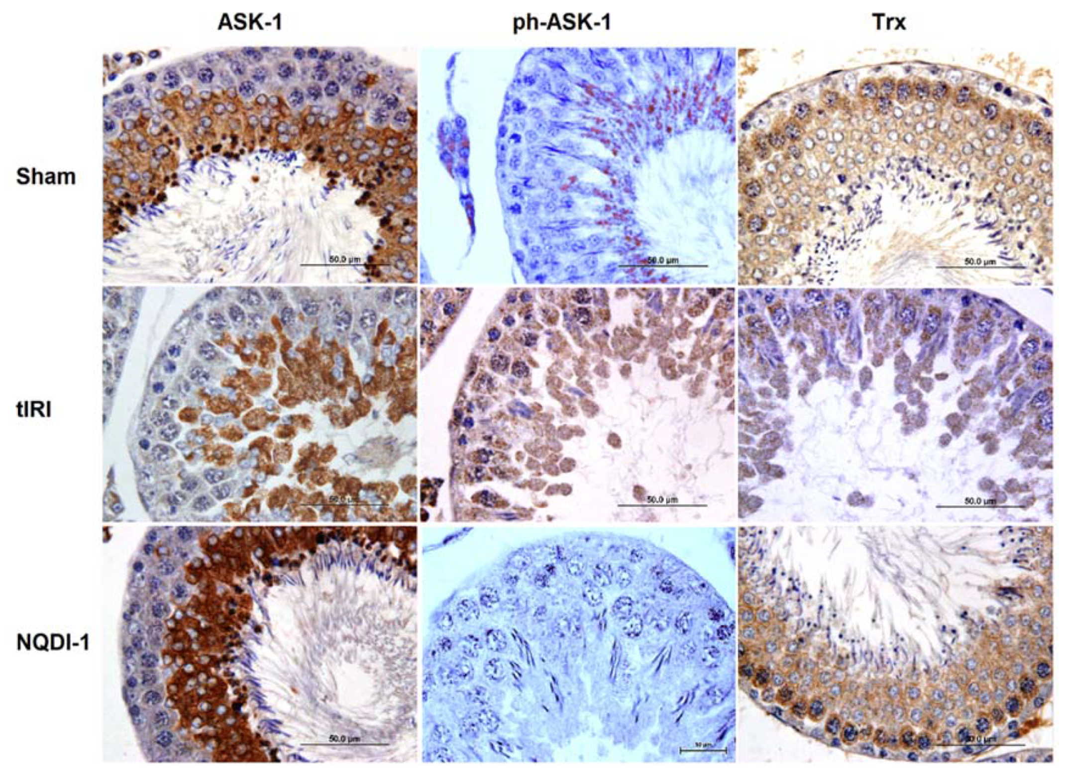 Molecules 24 03333 g007