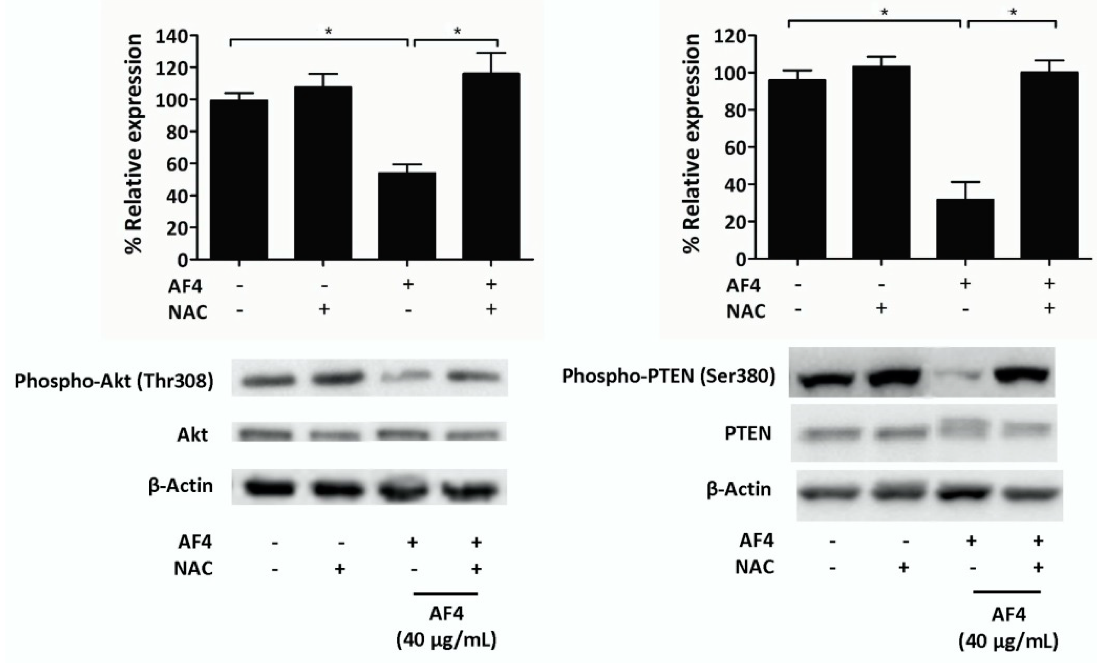 Molecules 24 03335 g005
