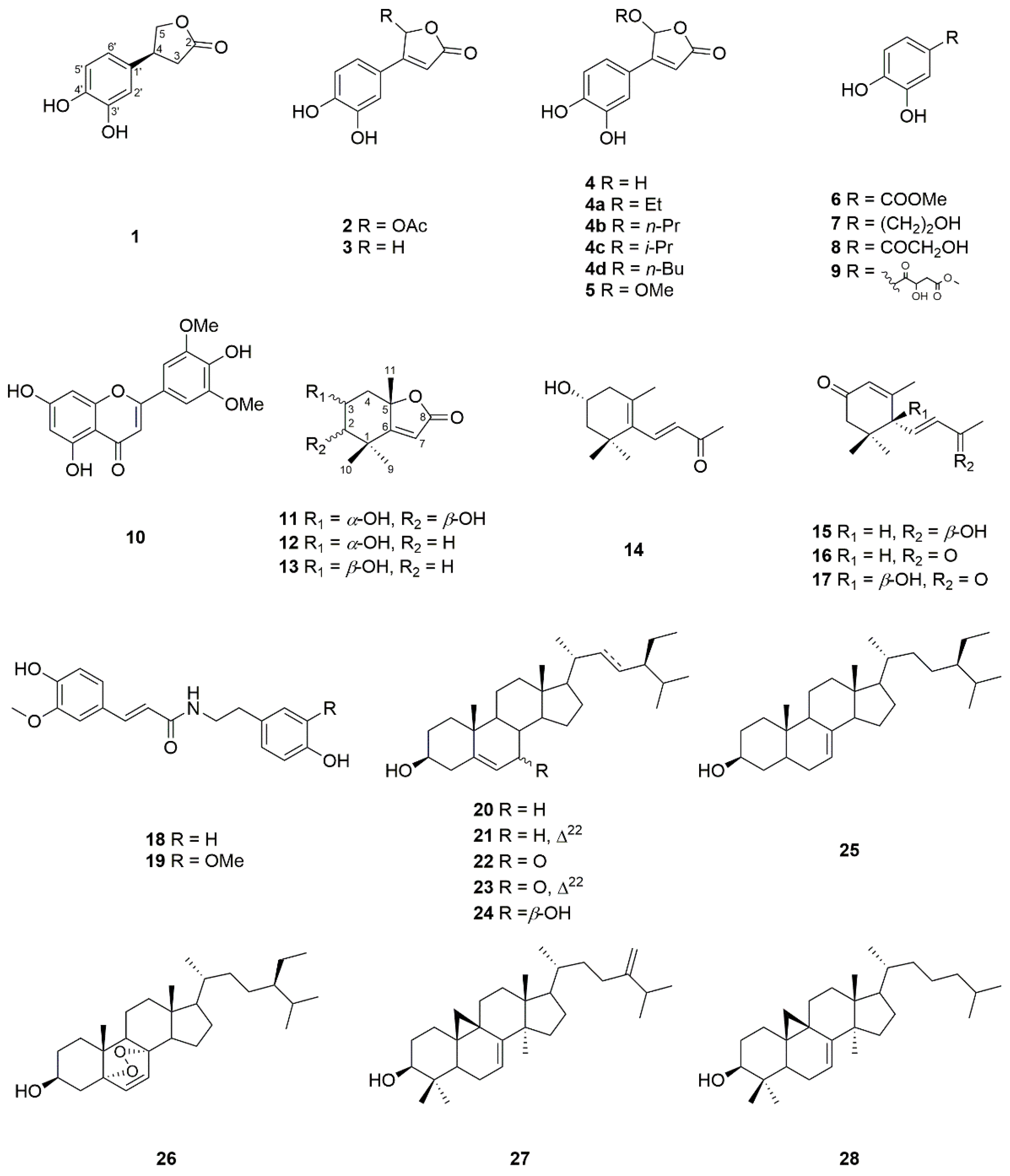 Molecules 24 03336 g001