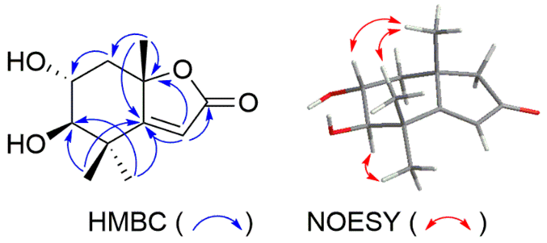 Molecules 24 03336 g002
